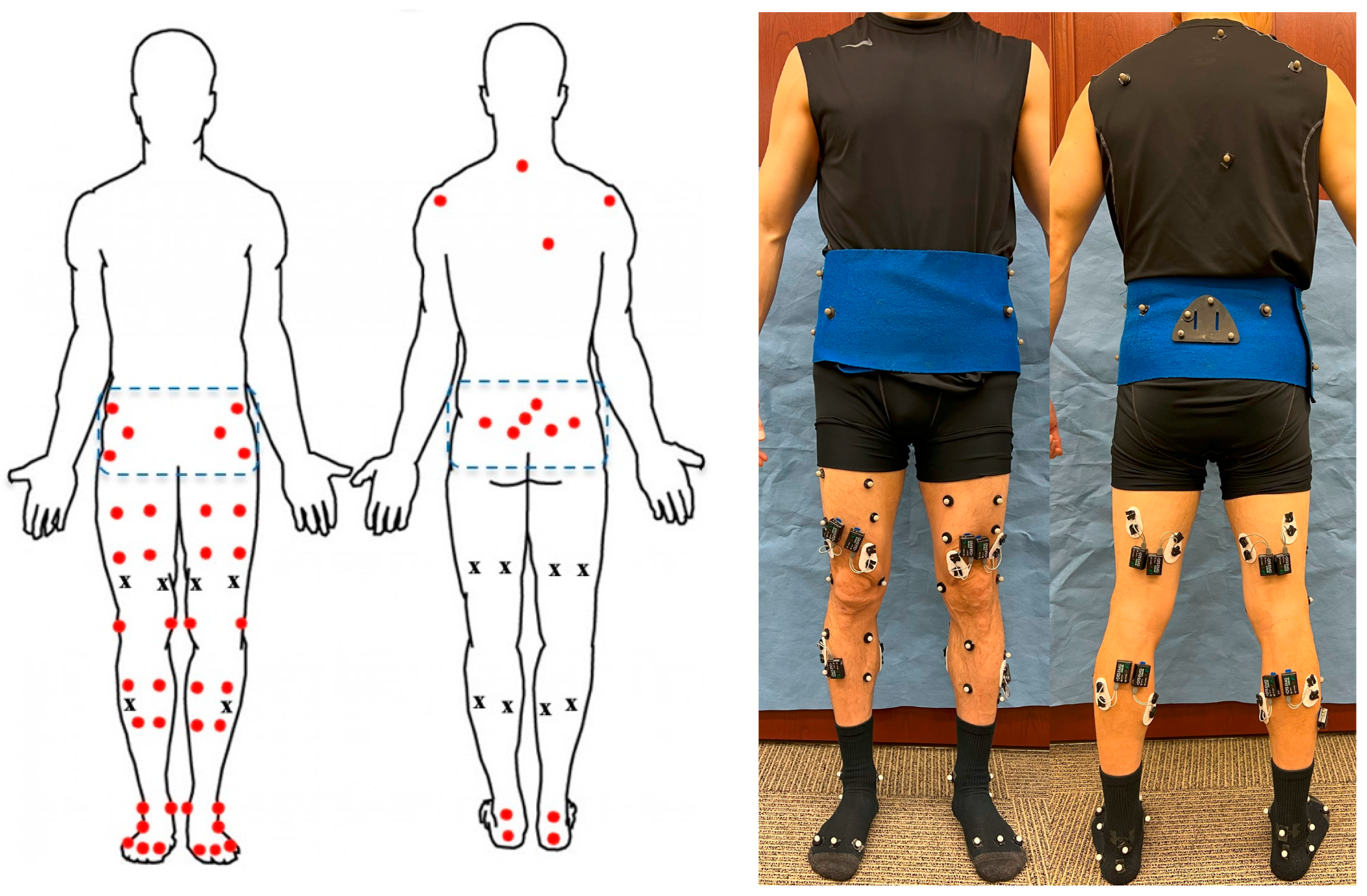 Bioengineering 11 00938 g001