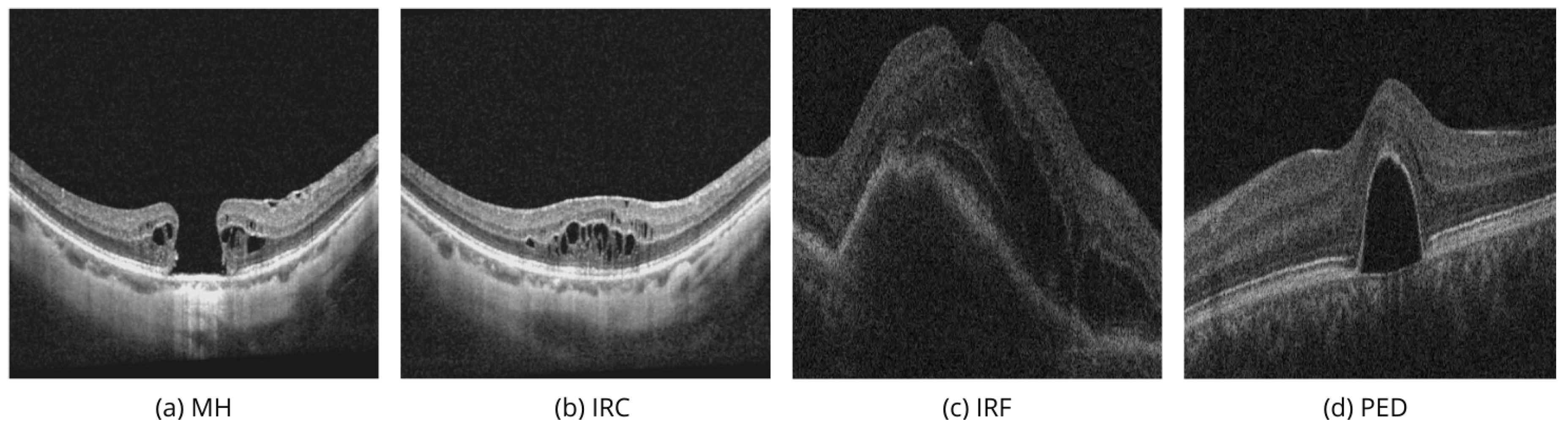 Bioengineering 11 00940 g001