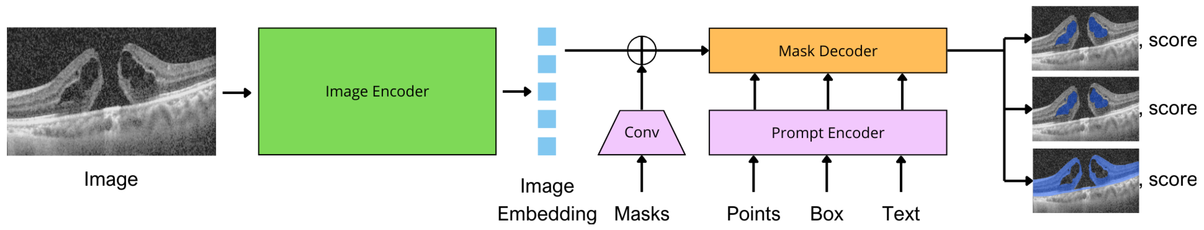 Bioengineering 11 00940 g002