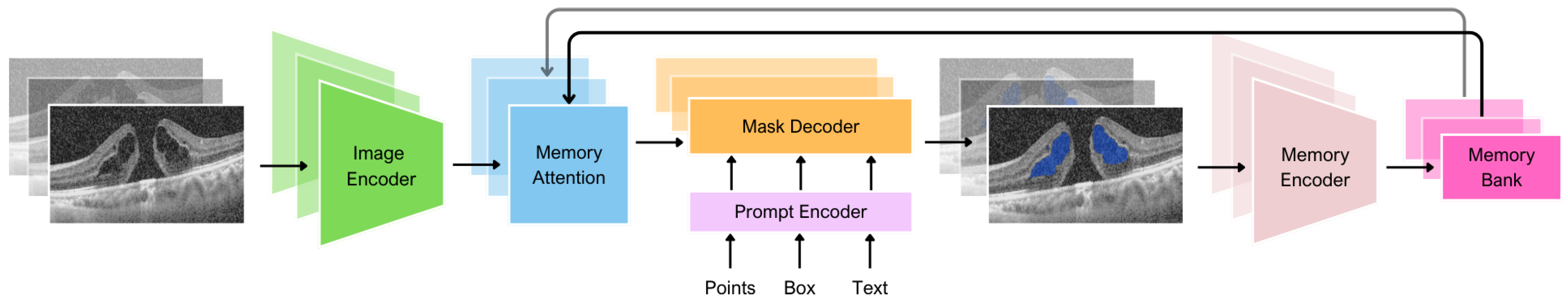 Bioengineering 11 00940 g003
