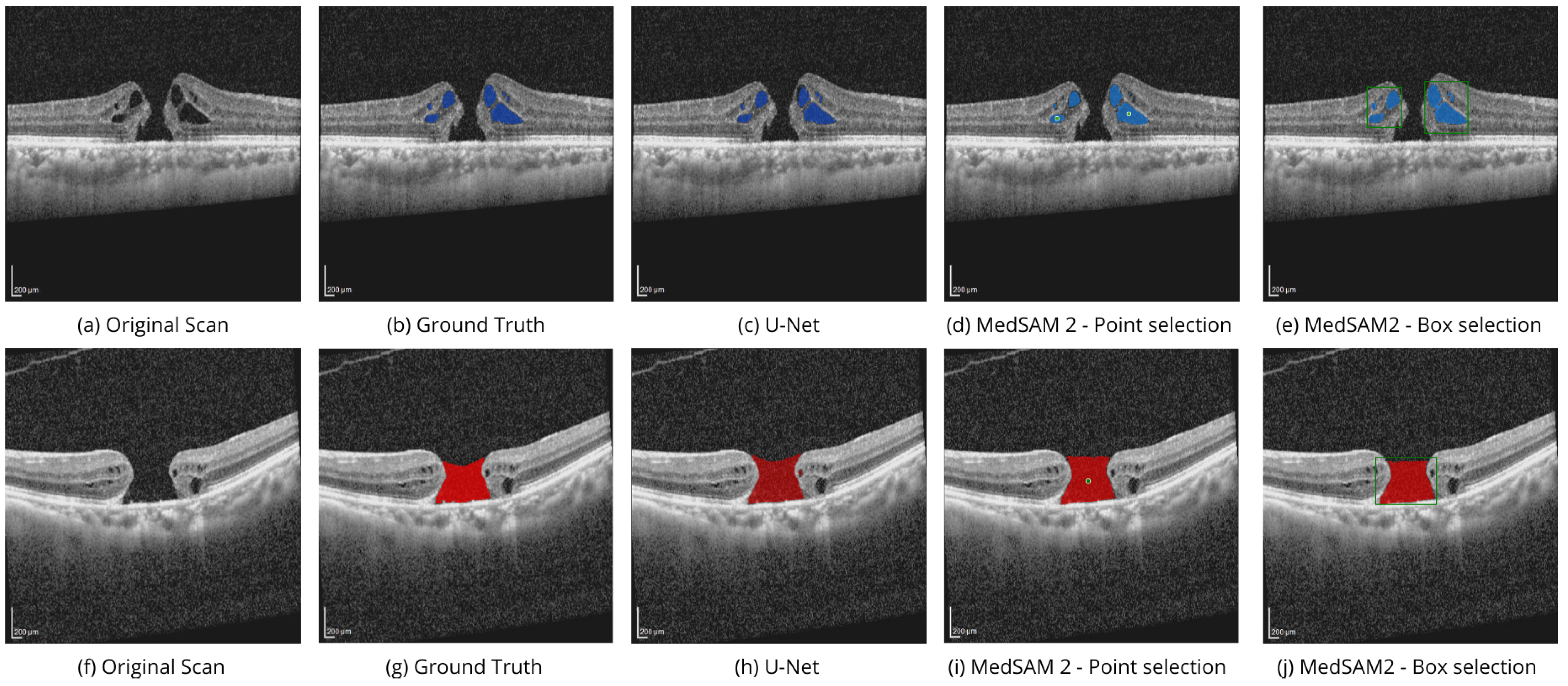 Bioengineering 11 00940 g004