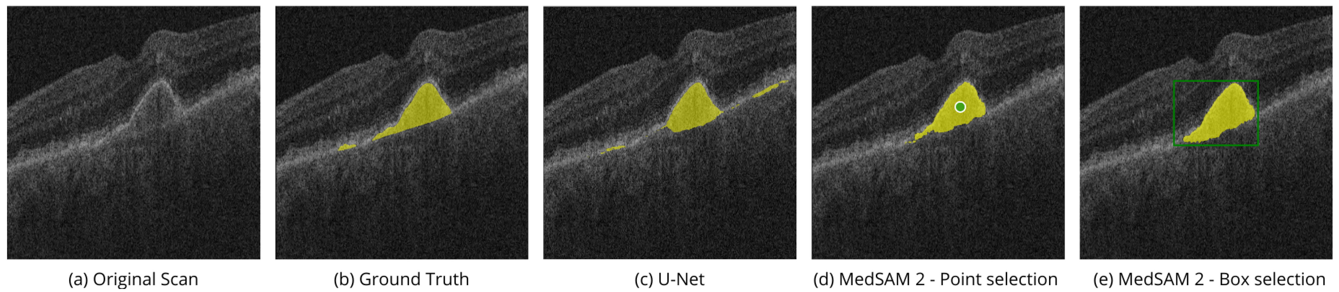 Bioengineering 11 00940 g005