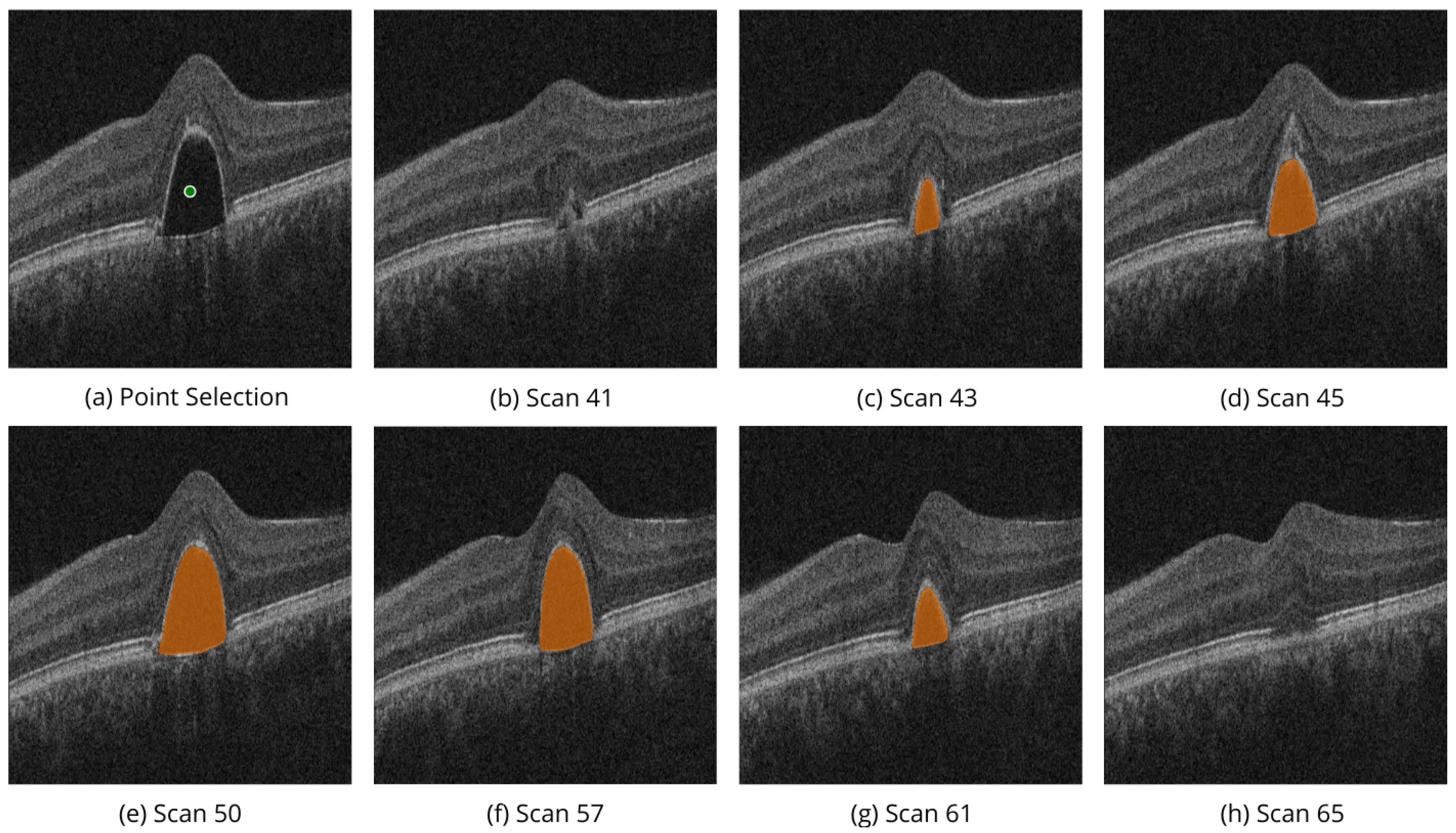 Bioengineering 11 00940 g007