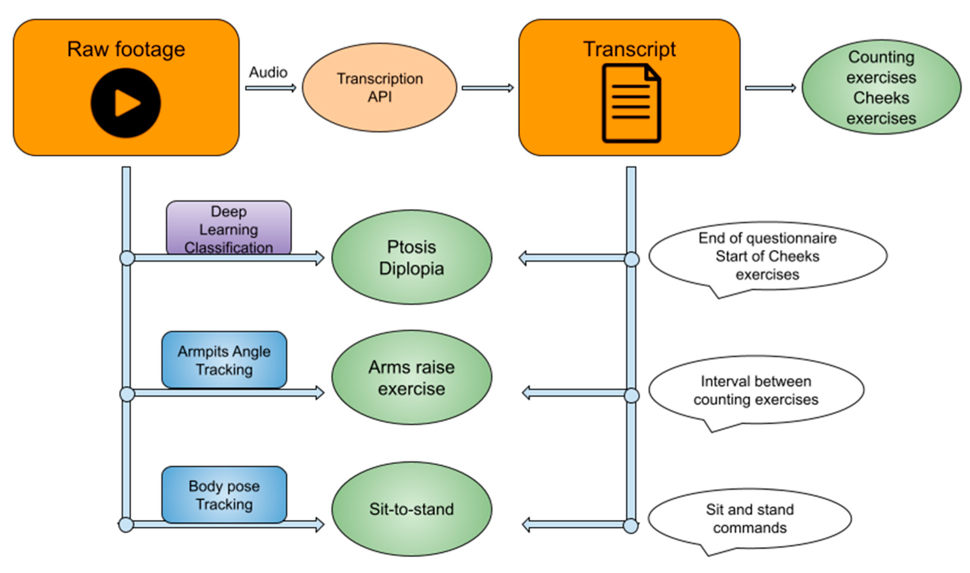 Bioengineering 11 00942 g001