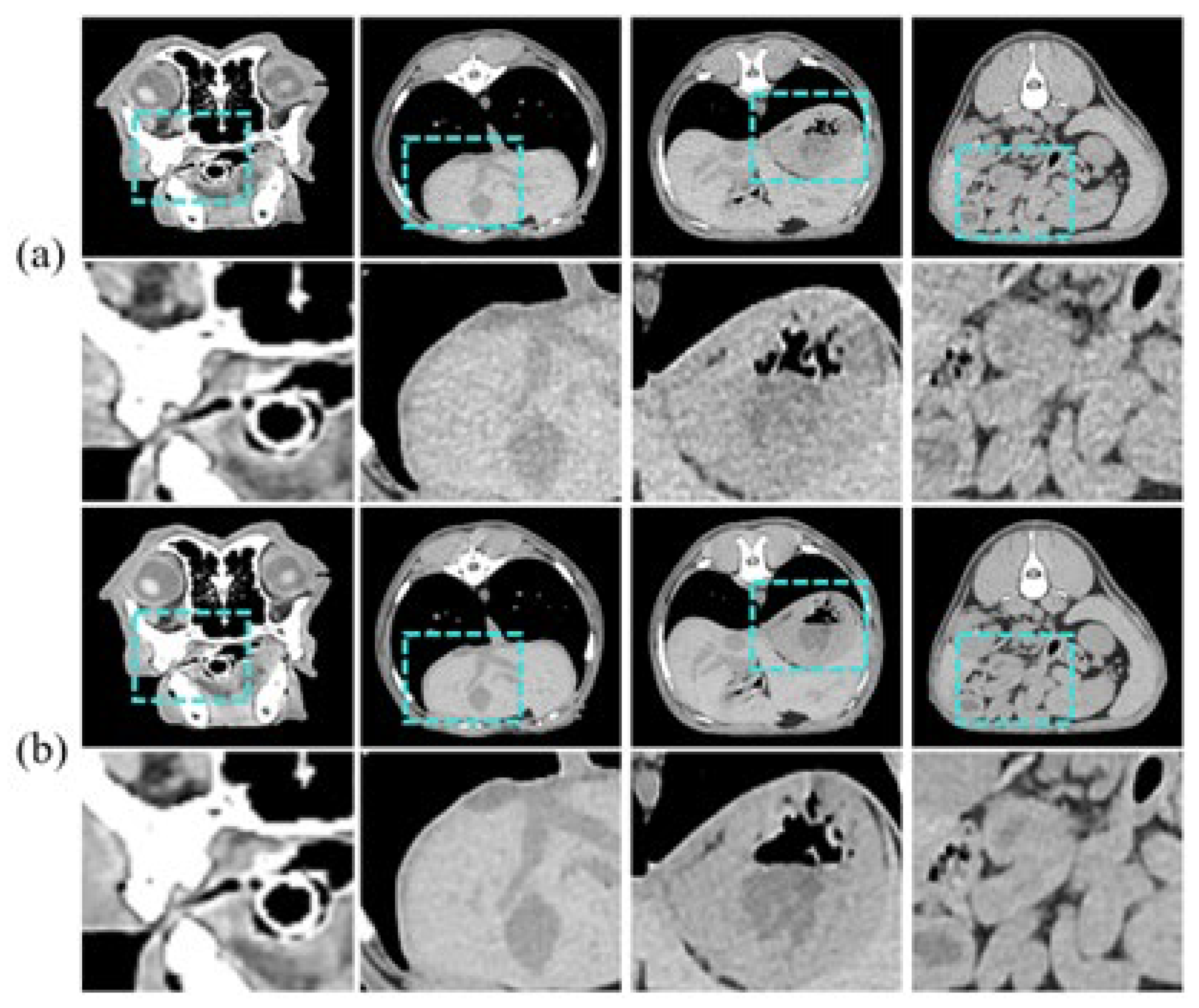 Bioengineering 11 00944 g005