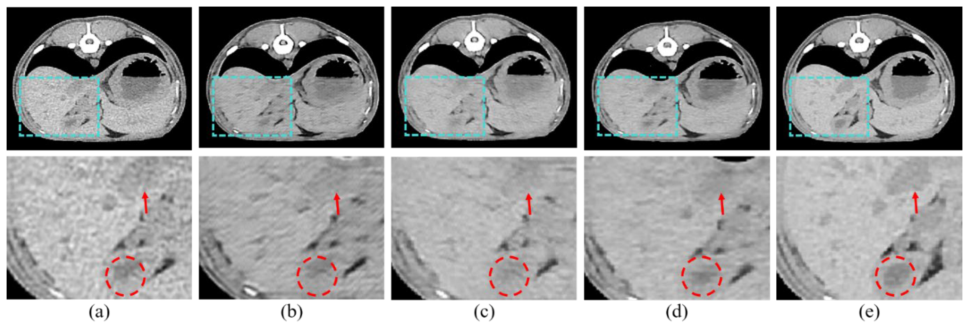 Bioengineering 11 00944 g006