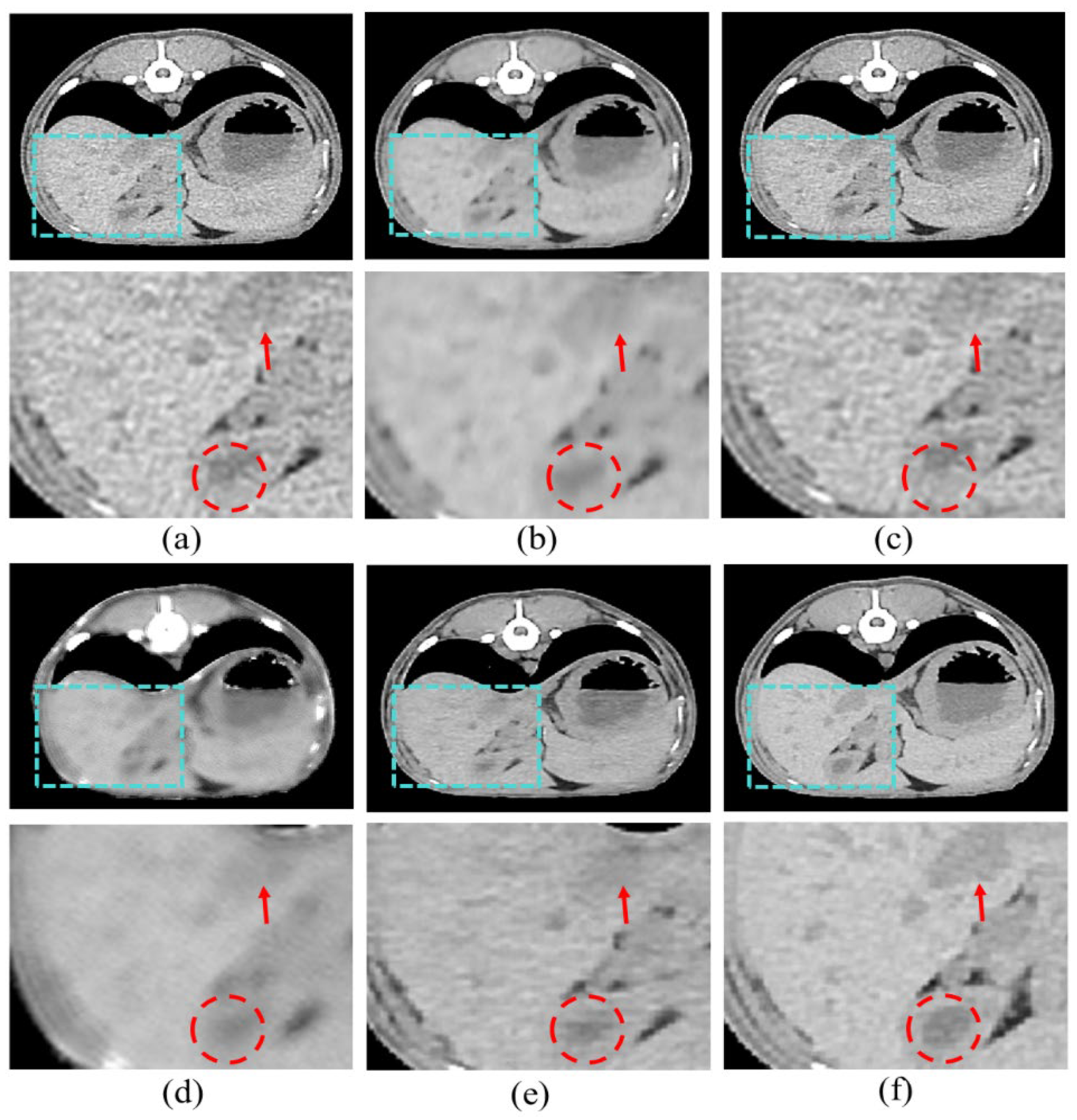 Bioengineering 11 00944 g007