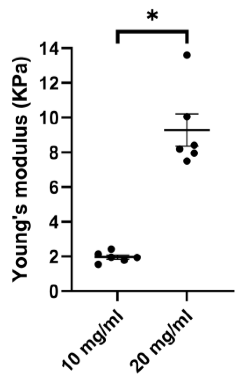 Bioengineering 11 00946 g005