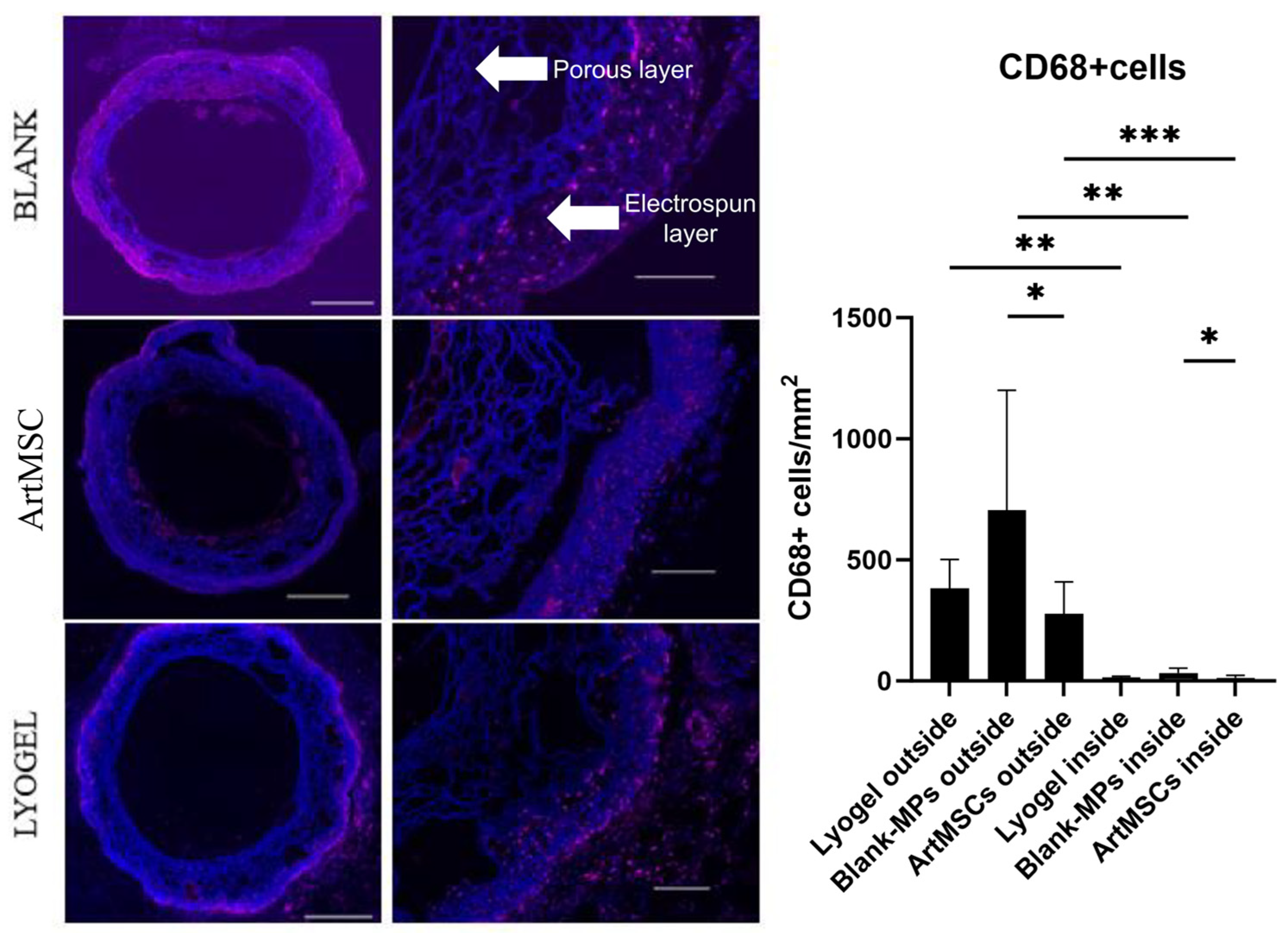 Bioengineering 11 00947 g007