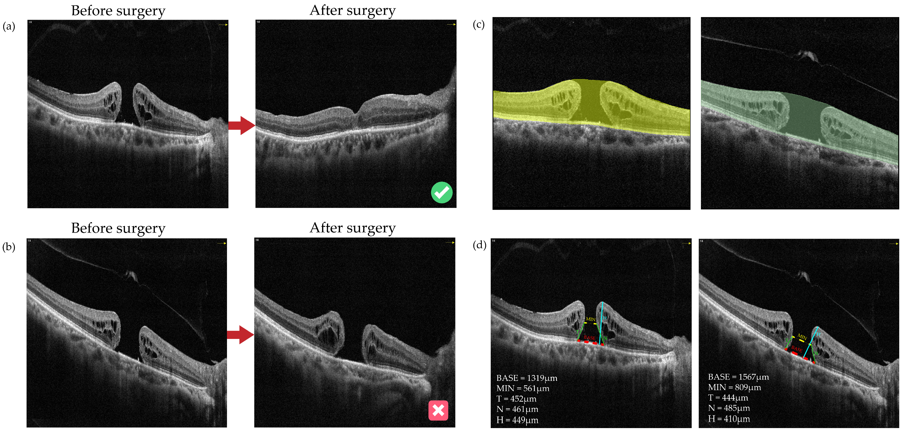 Bioengineering 11 00949 g002