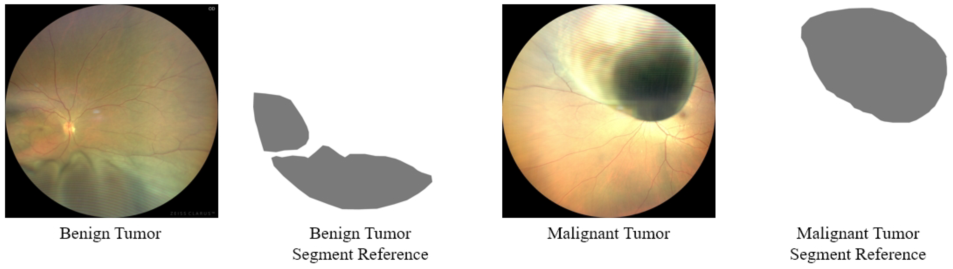 Bioengineering 11 00950 g001