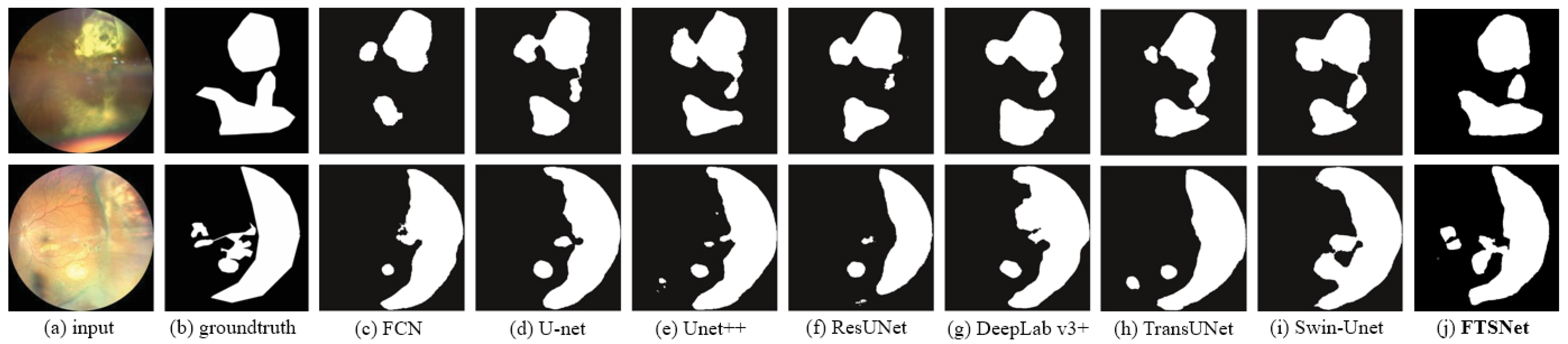 Bioengineering 11 00950 g005