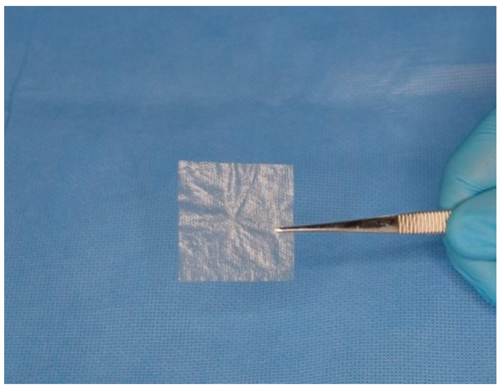 Bioengineering 11 00953 g001