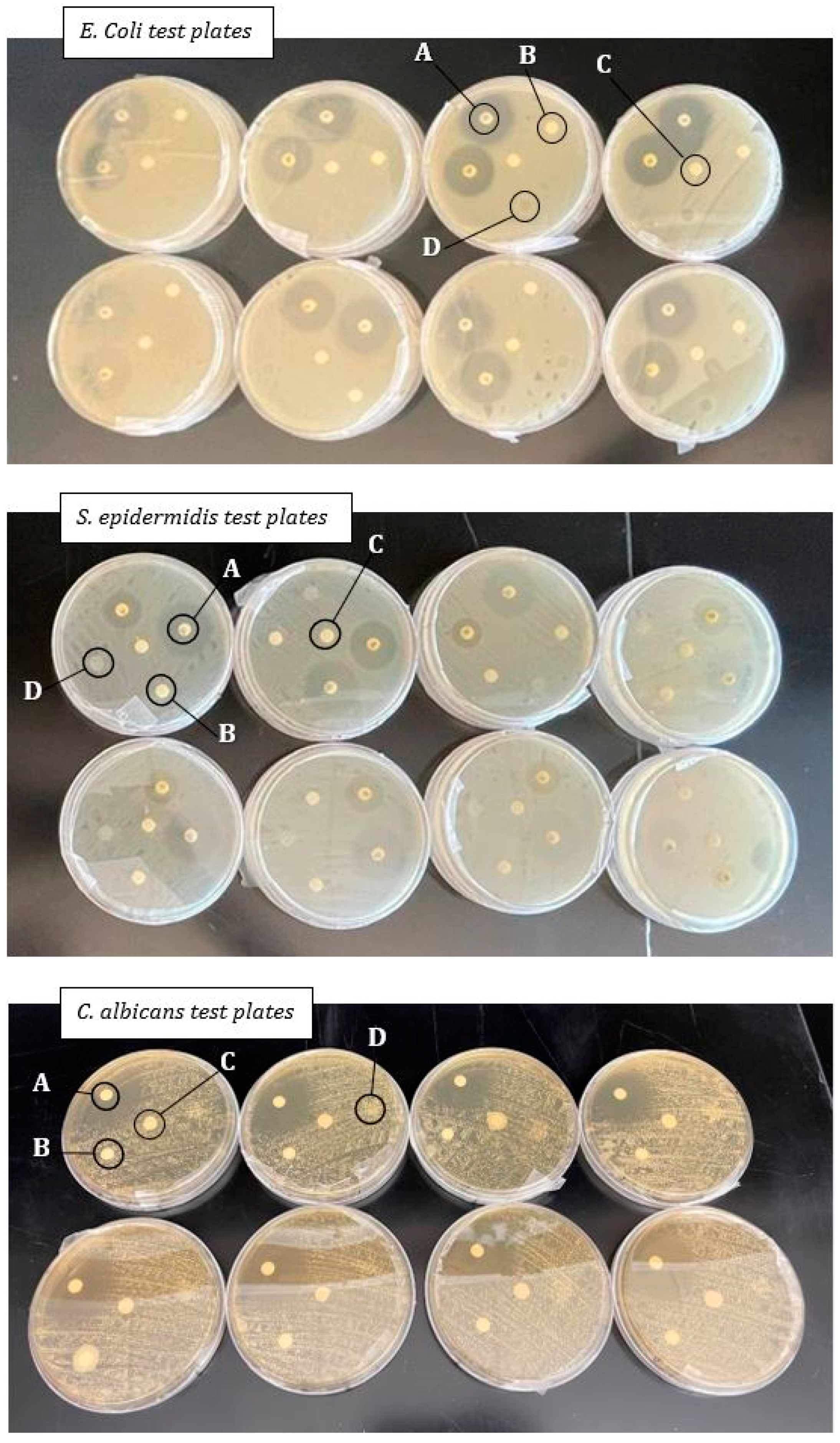 Bioengineering 11 00953 g003