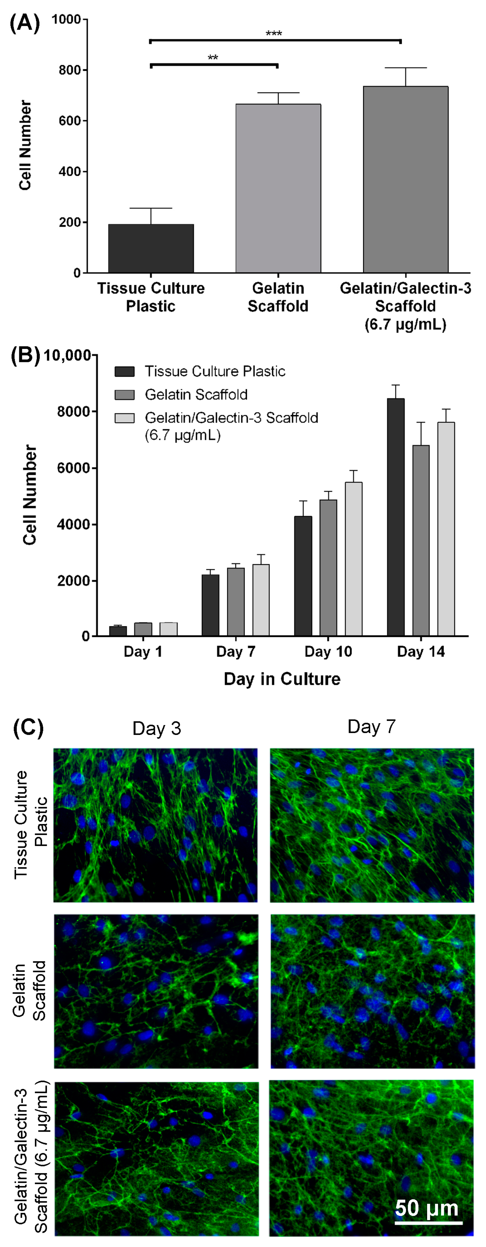 Bioengineering 11 00960 g004