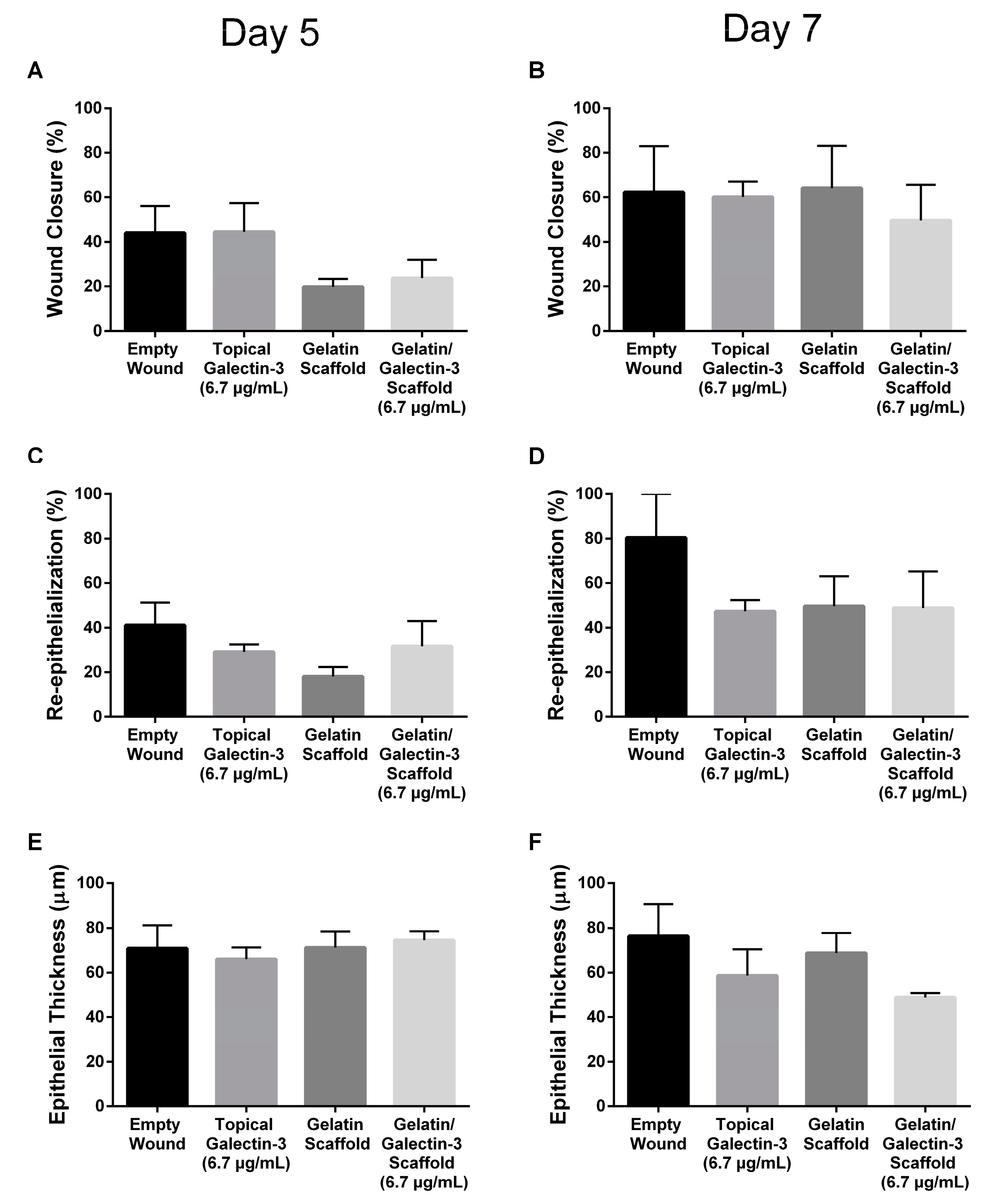Bioengineering 11 00960 g005