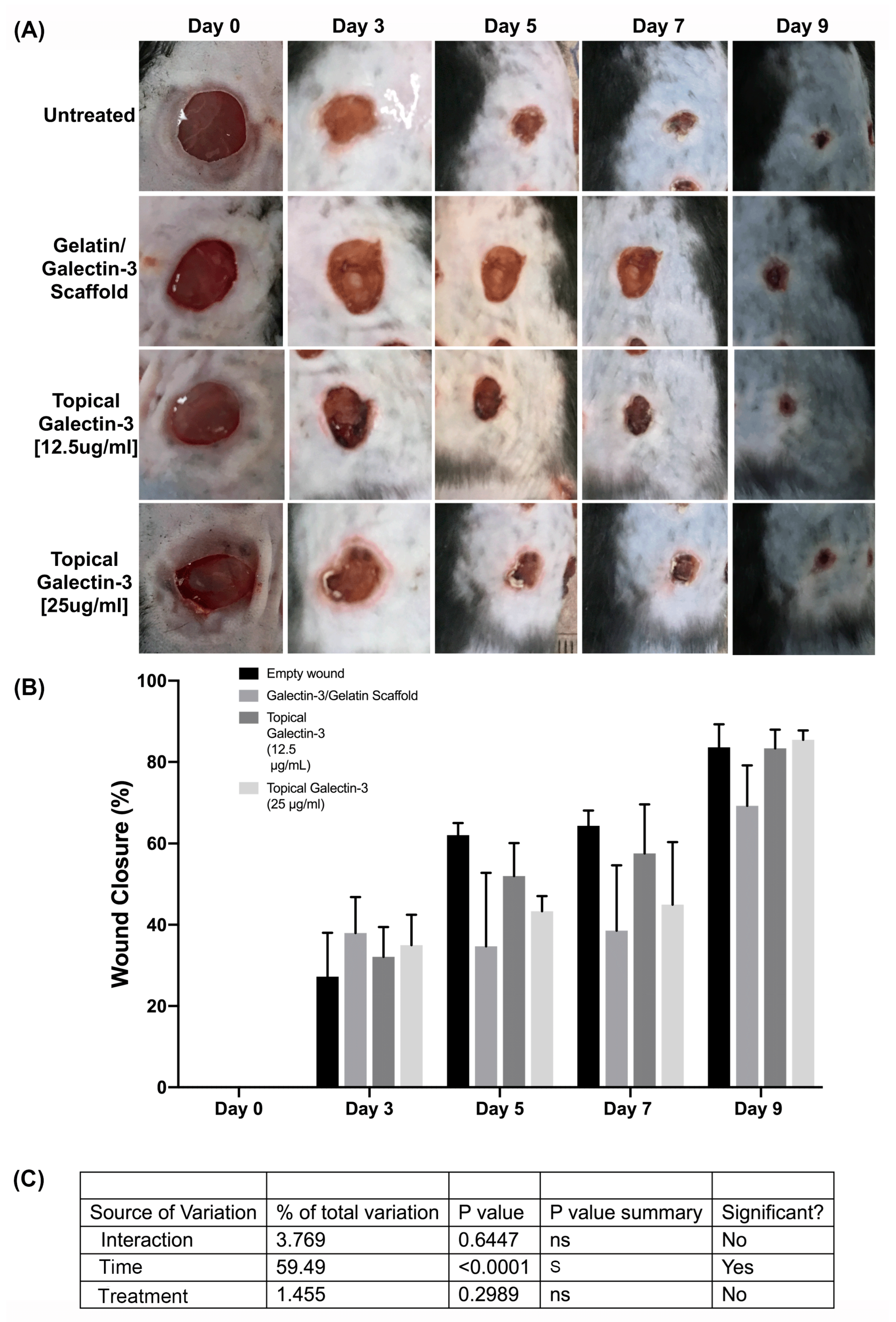 Bioengineering 11 00960 g010