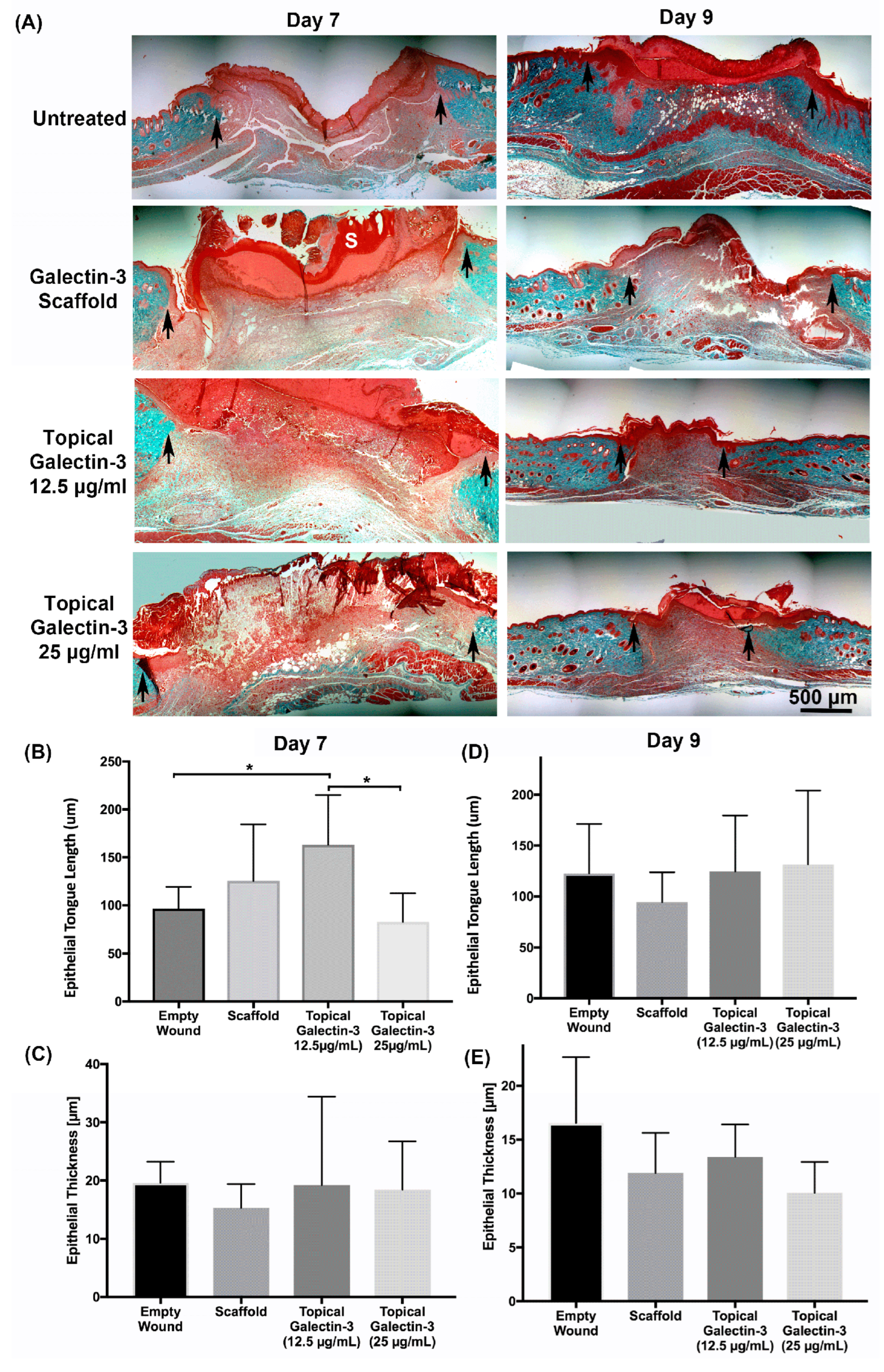 Bioengineering 11 00960 g011