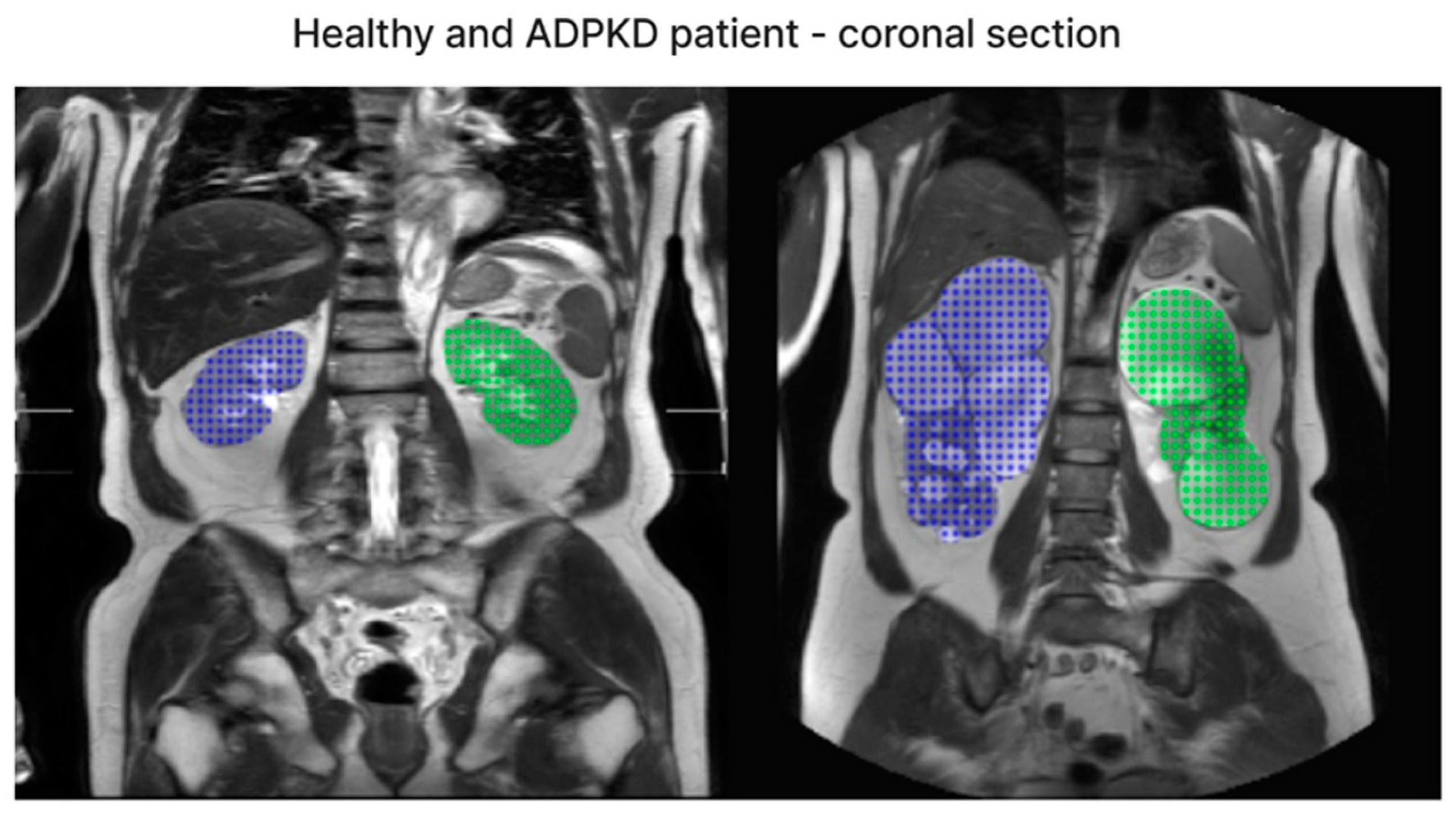 Bioengineering 11 00963 g007