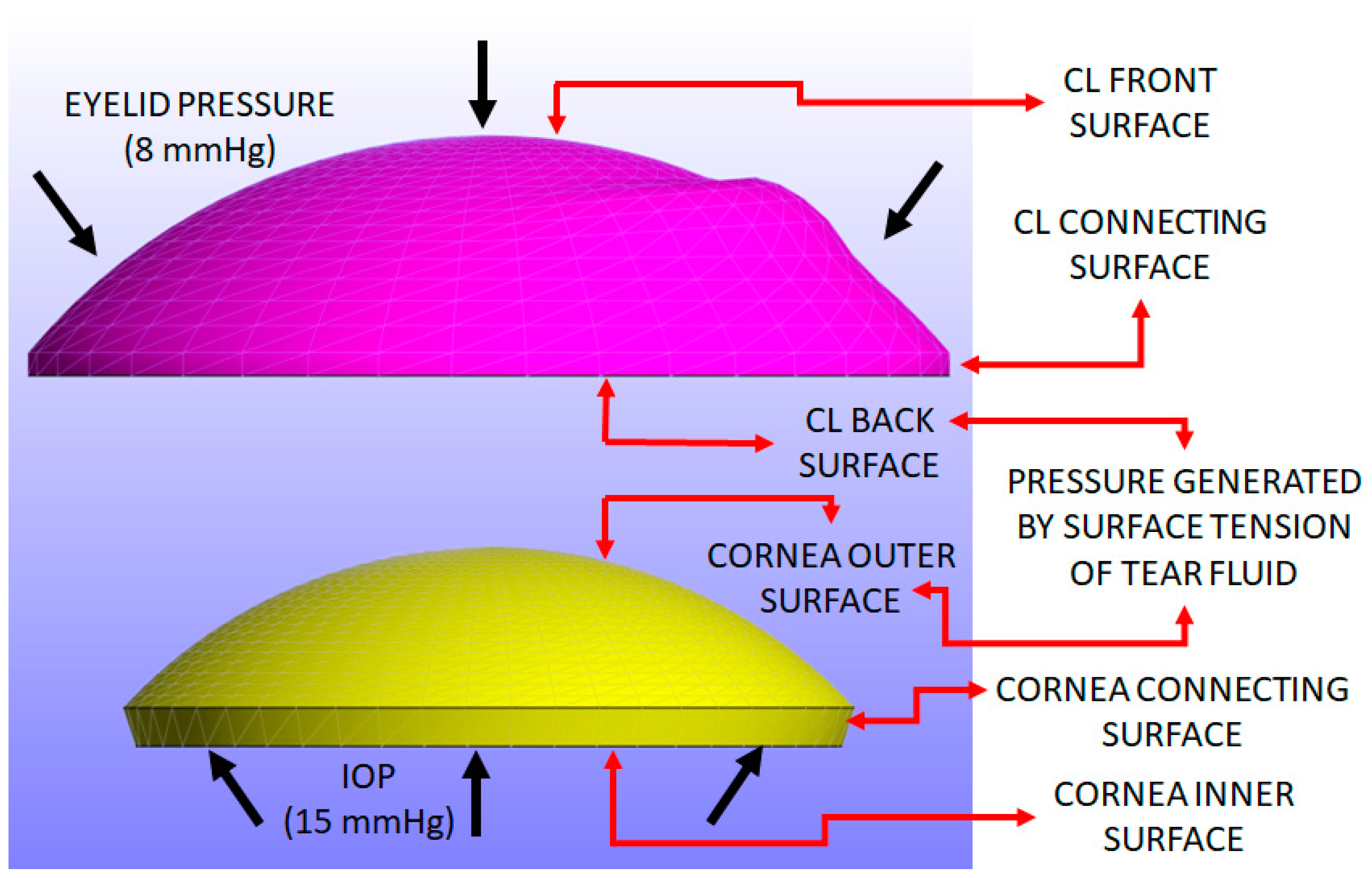 Bioengineering 11 00966 g003