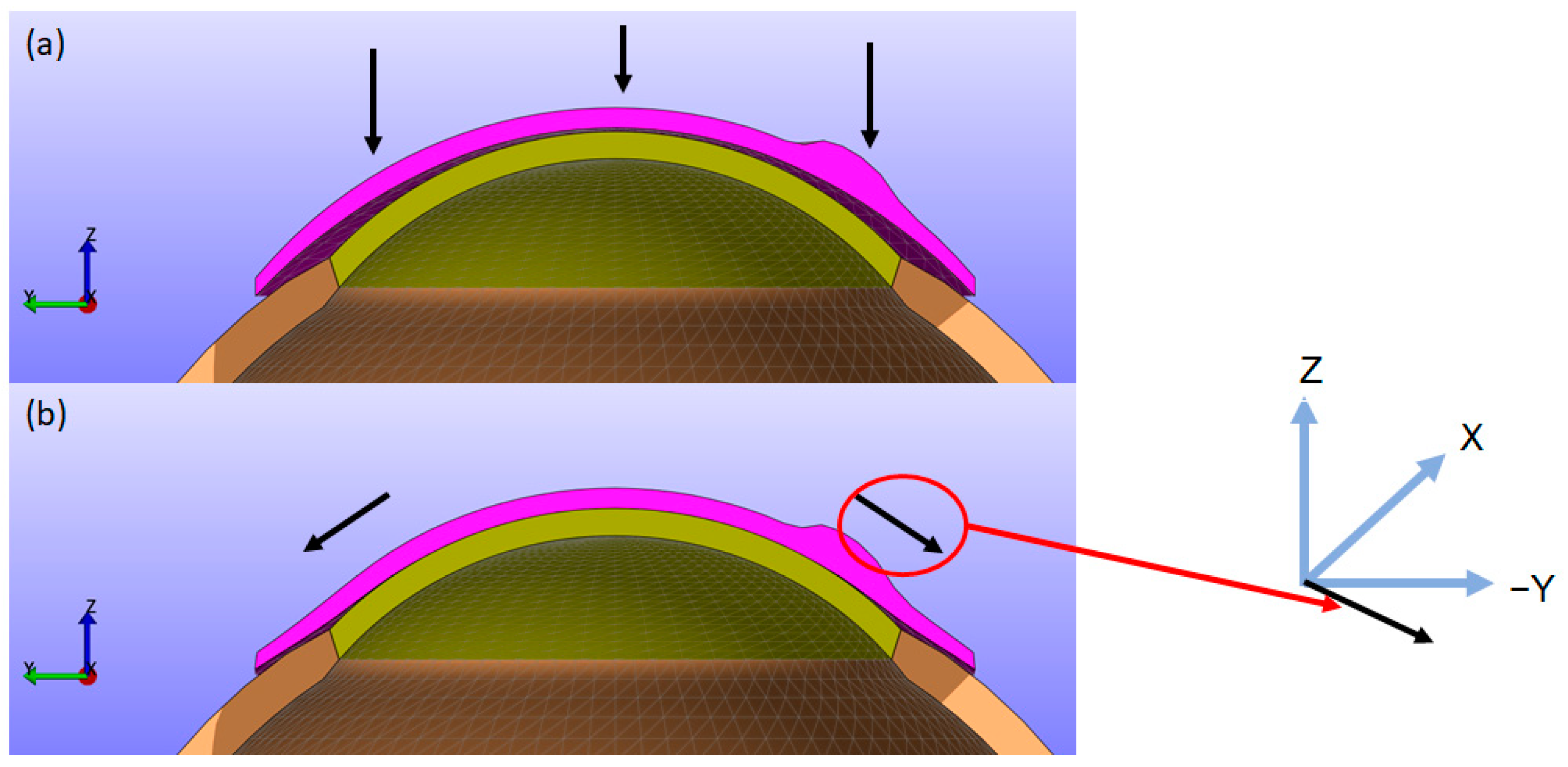 Bioengineering 11 00966 g004