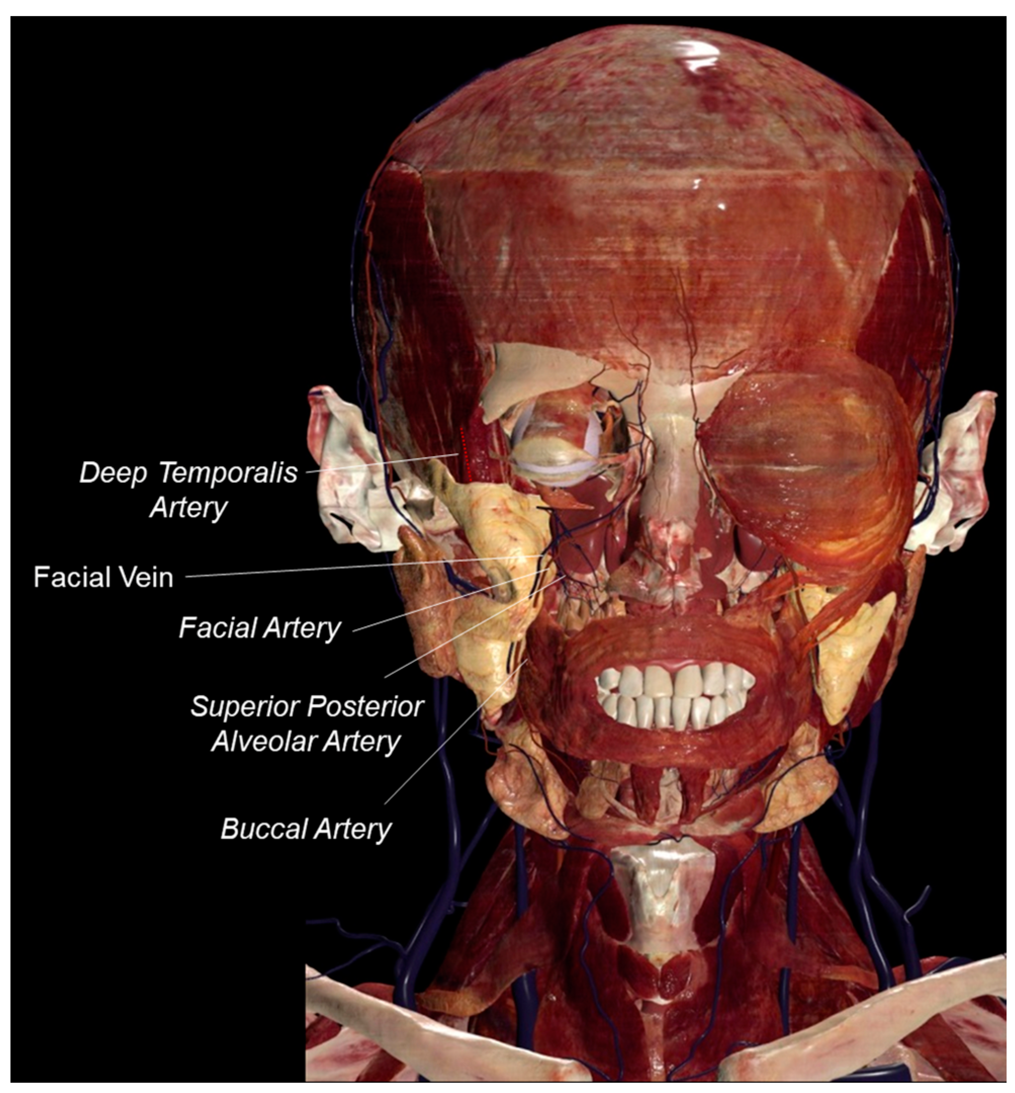 Bioengineering 11 00968 g003