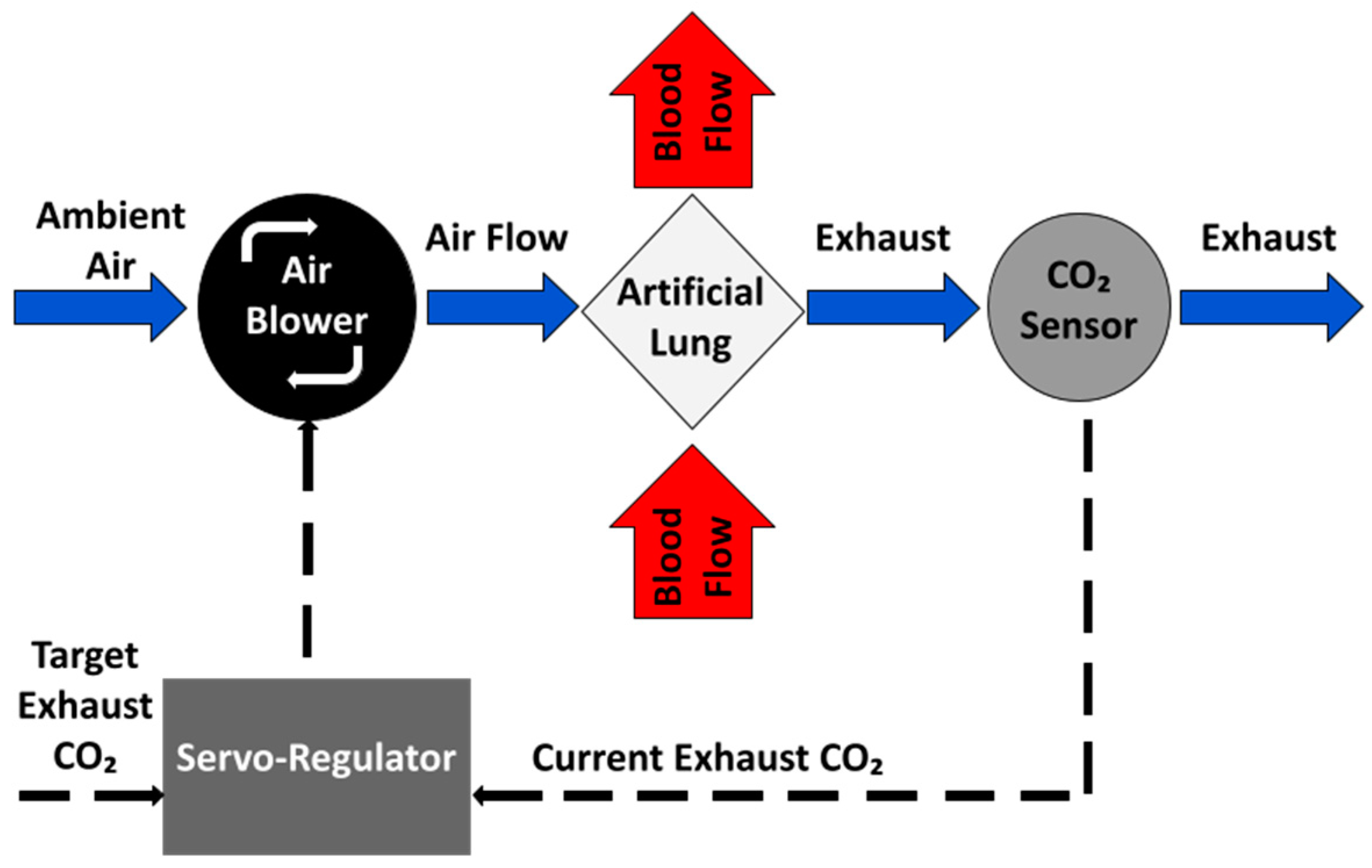 Bioengineering 11 00969 g002