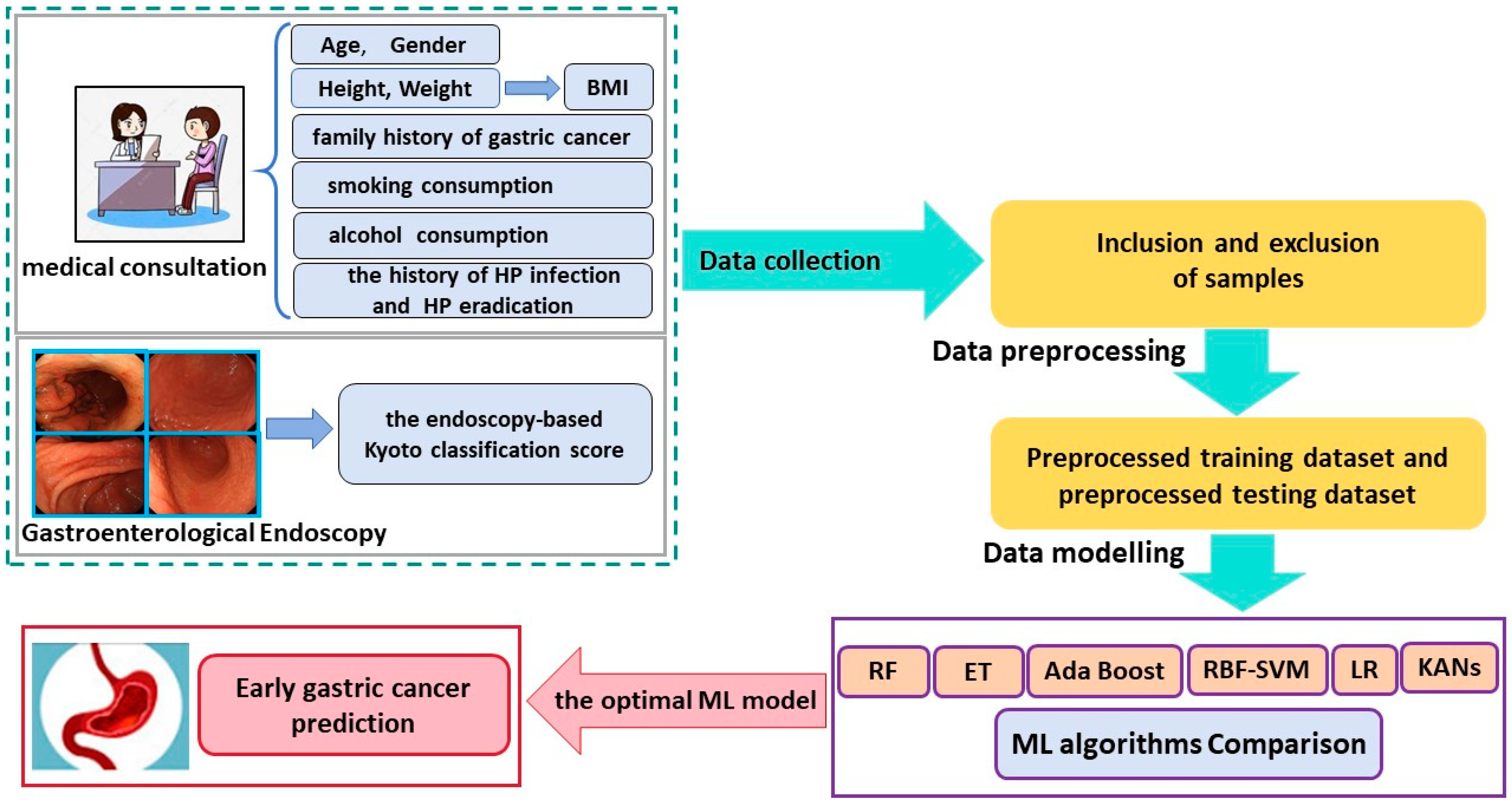 Bioengineering 11 00973 g002