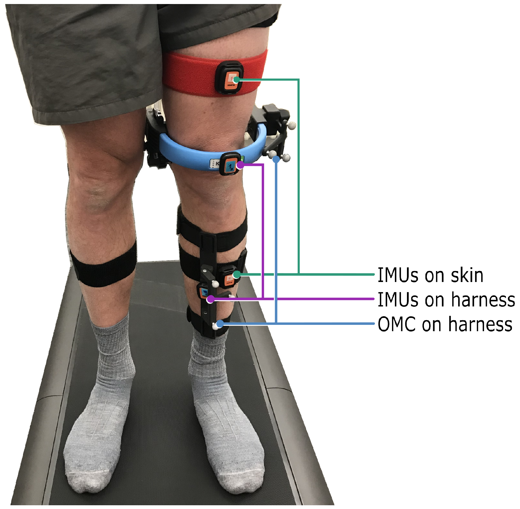 Bioengineering 11 00976 g001