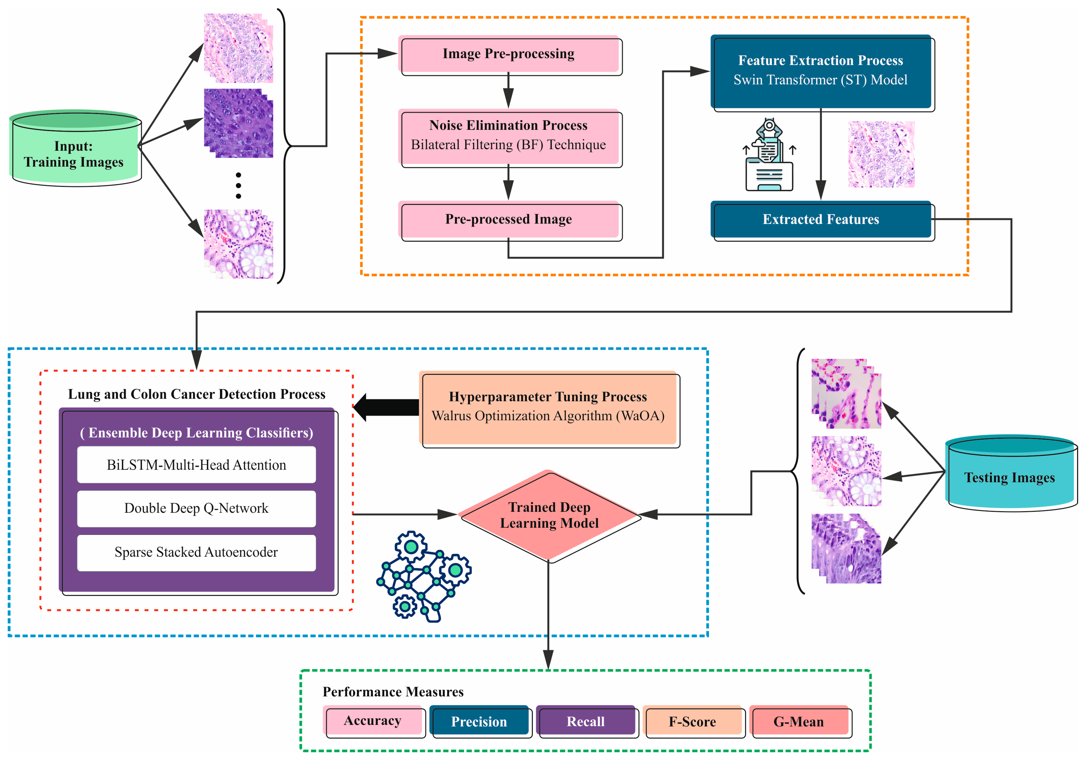 Bioengineering 11 00978 g001