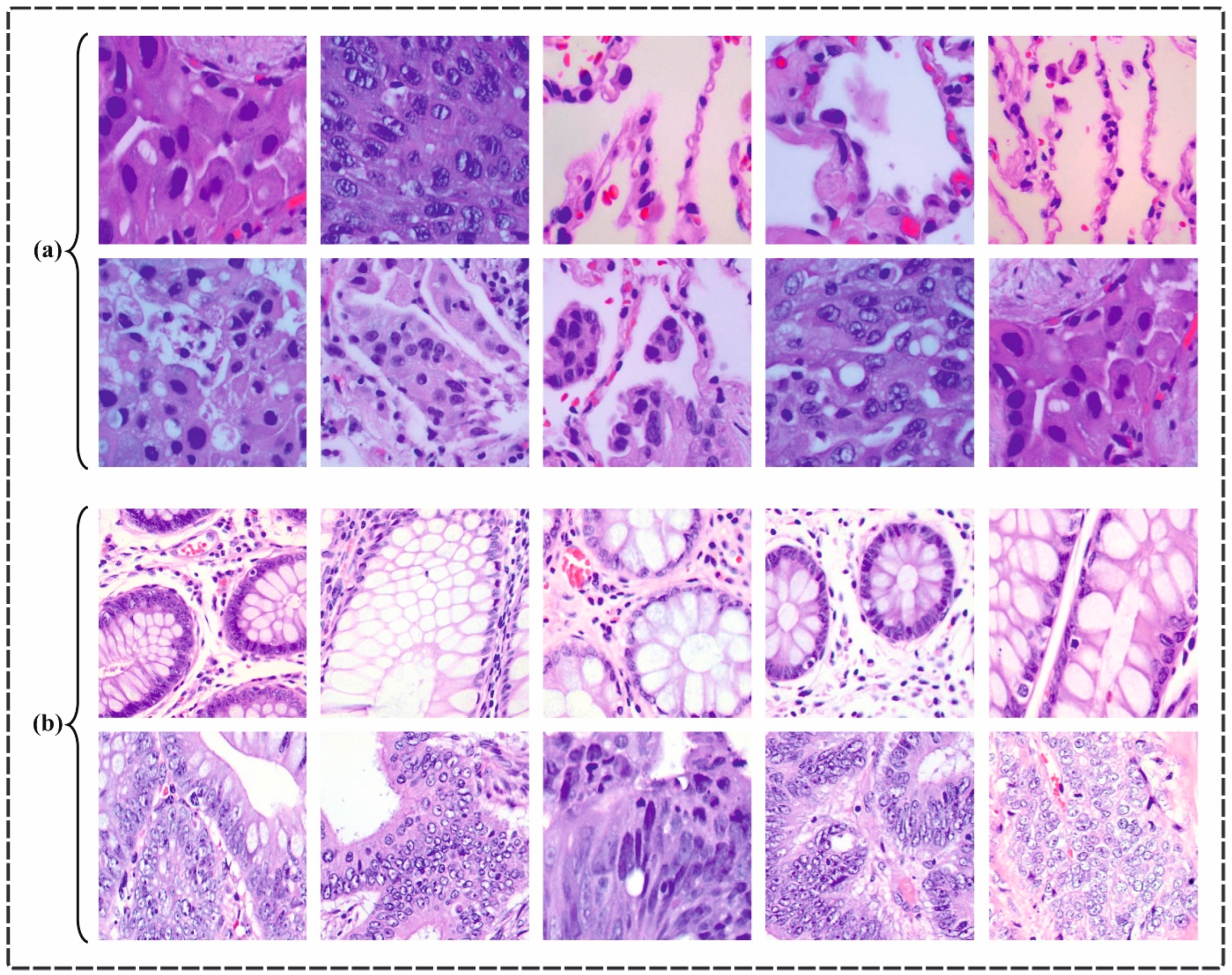 Bioengineering 11 00978 g008