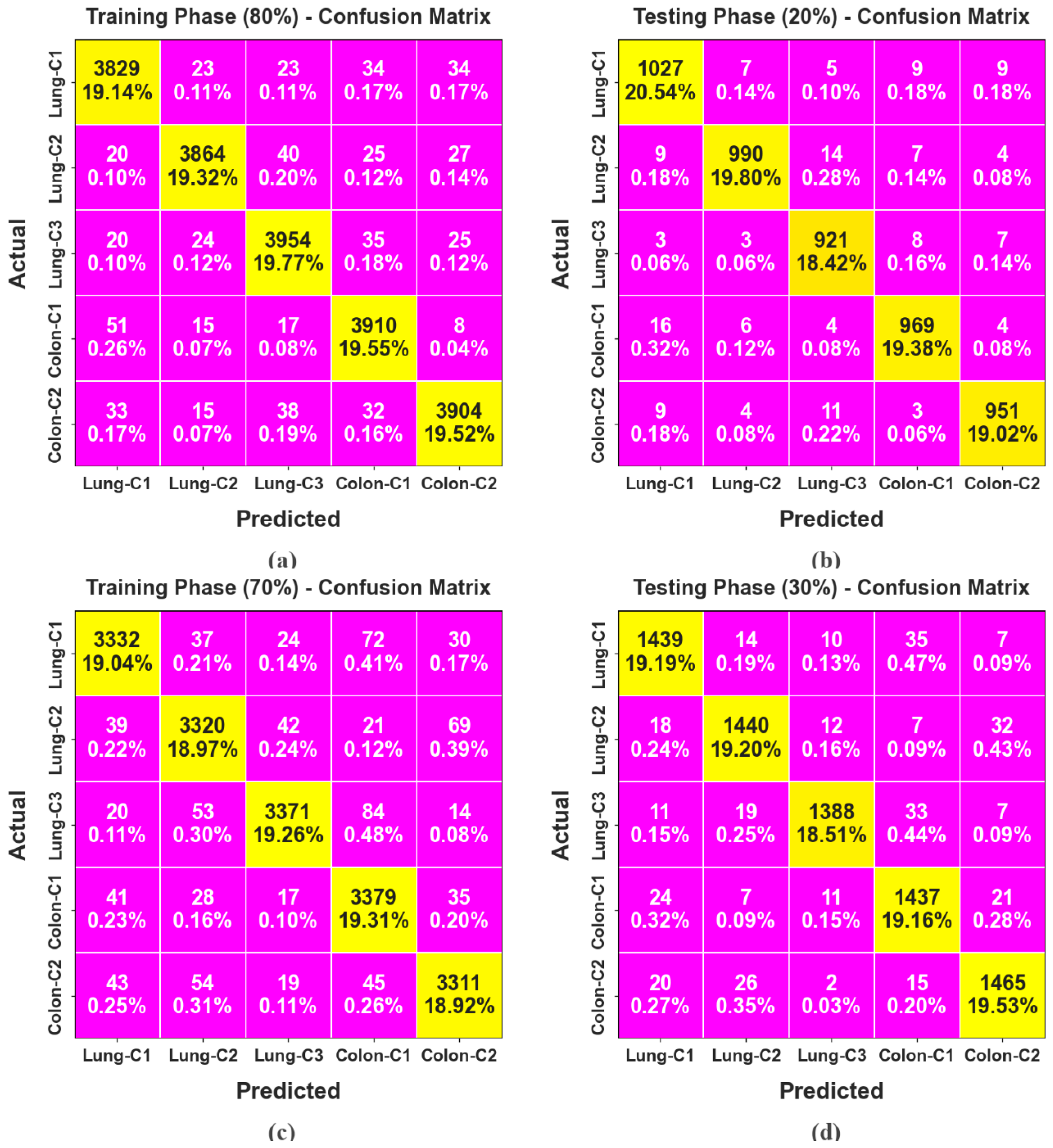 Bioengineering 11 00978 g009