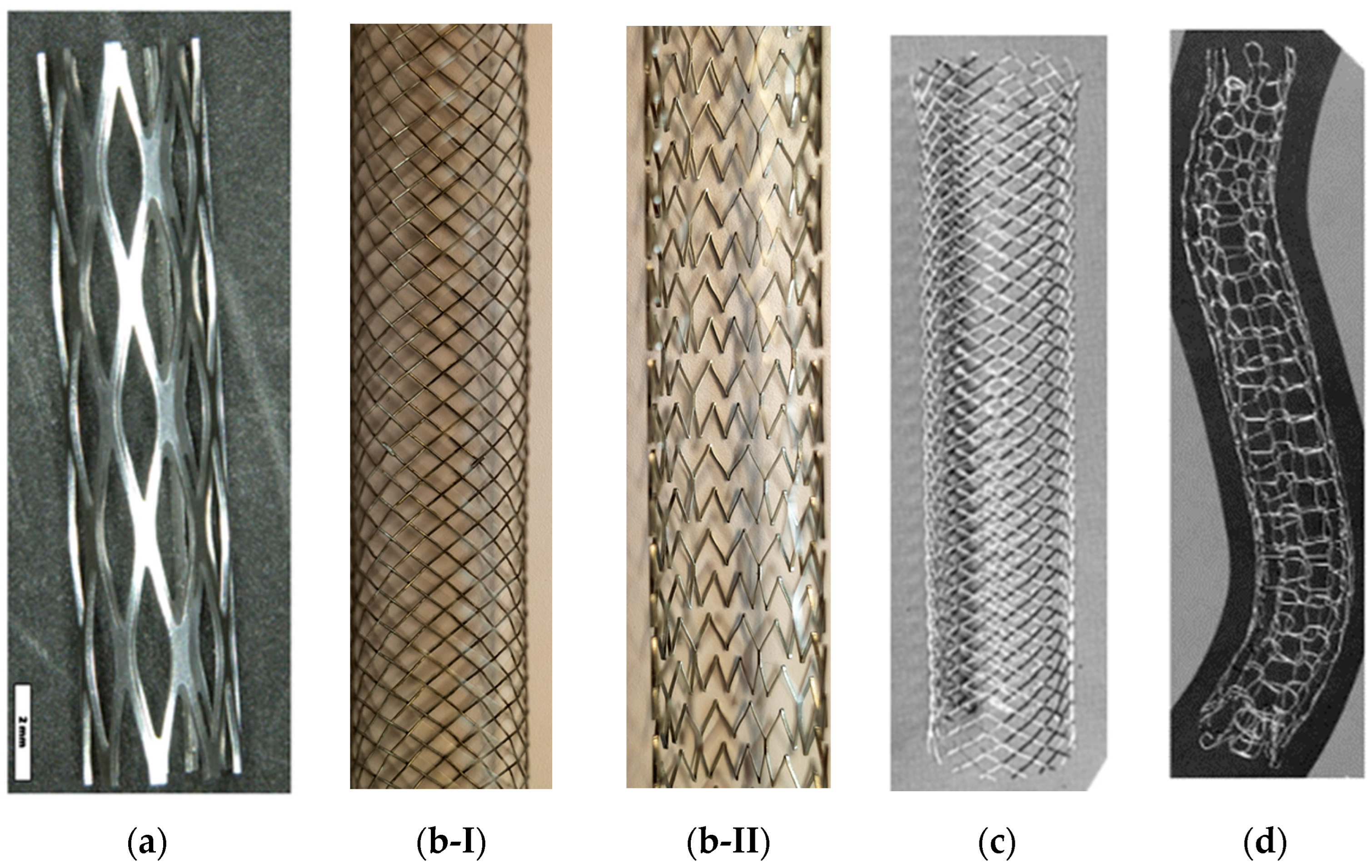 Bioengineering 11 00983 g002
