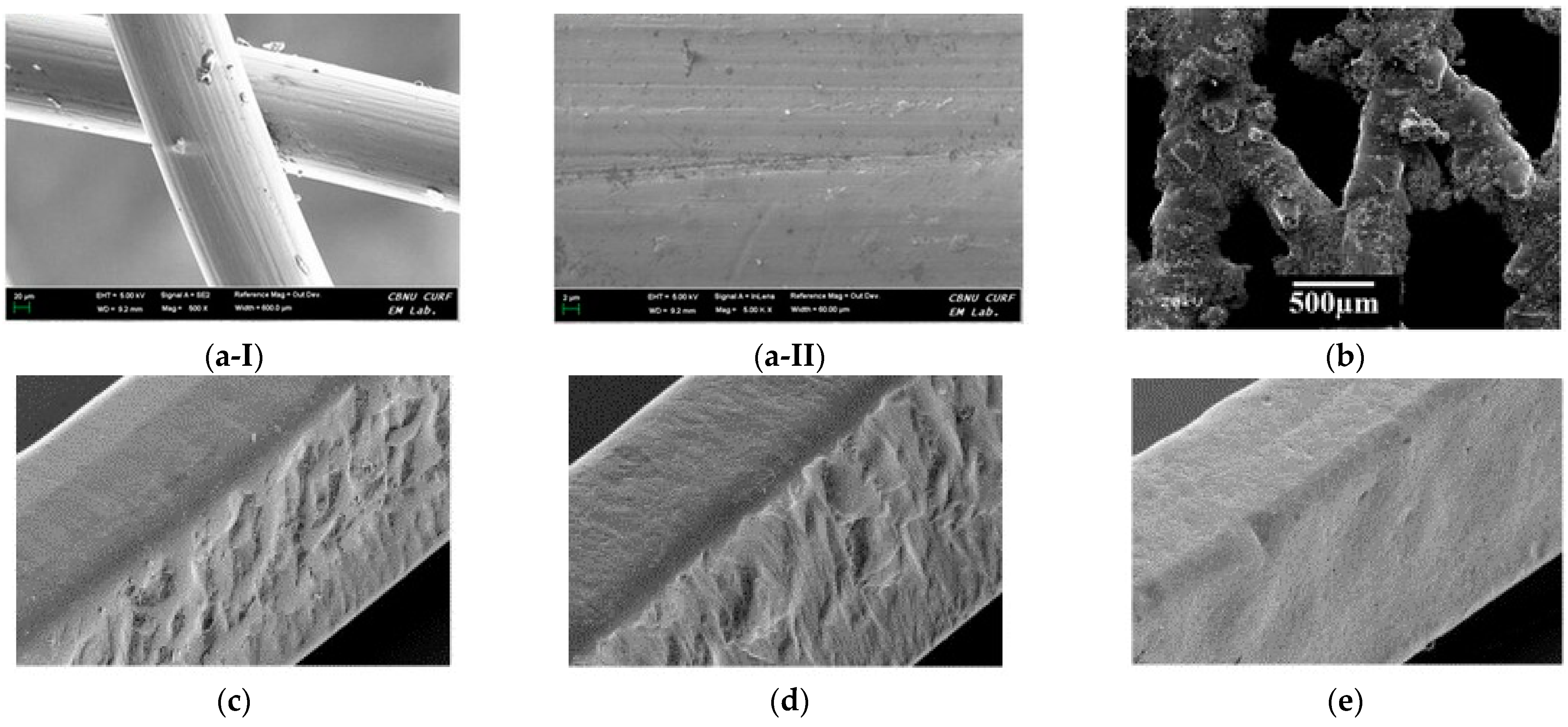 Bioengineering 11 00983 g010