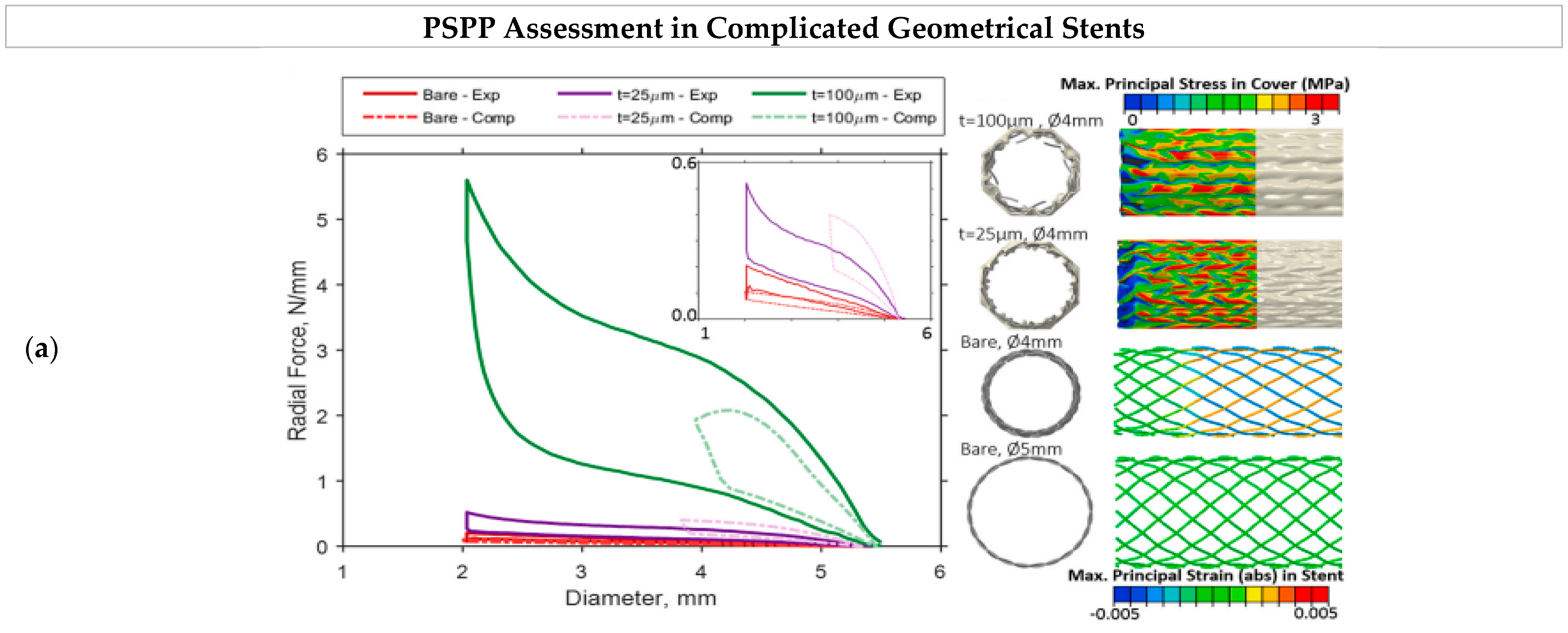 Bioengineering 11 00983 g017a