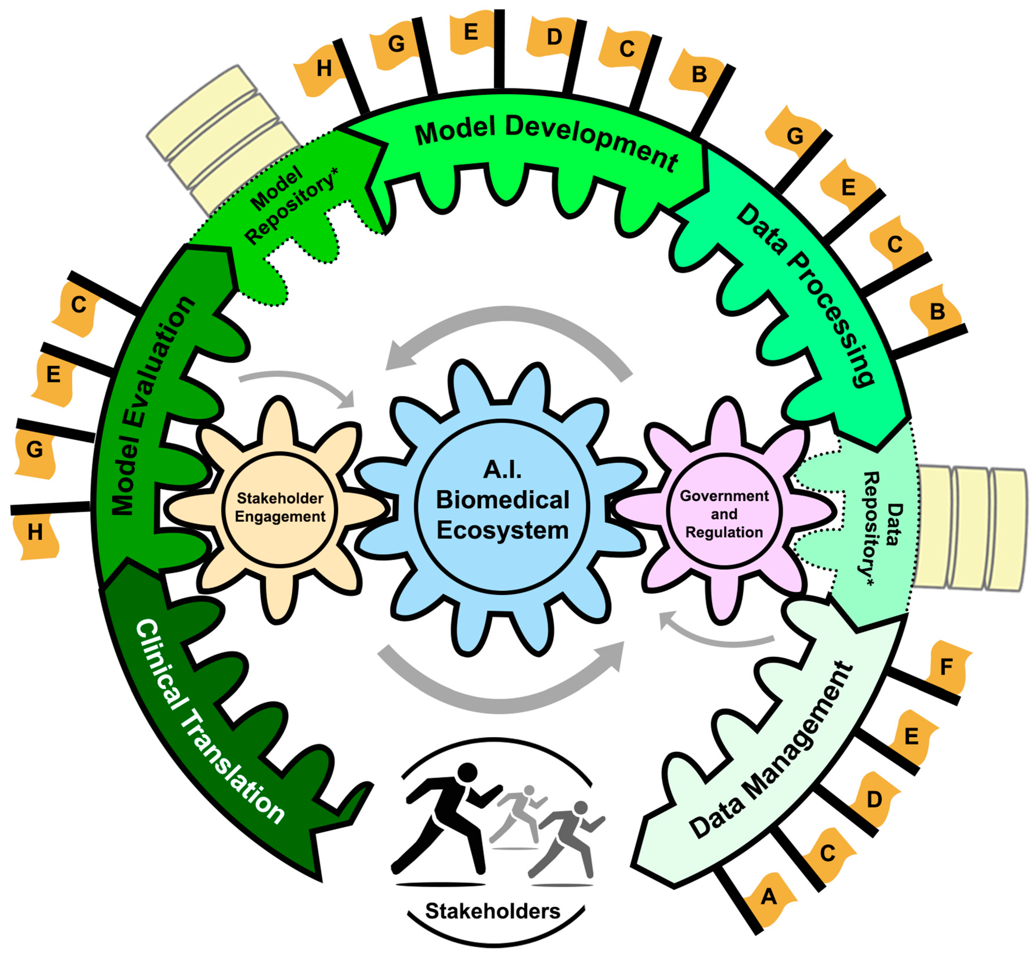 Bioengineering 11 00984 g005
