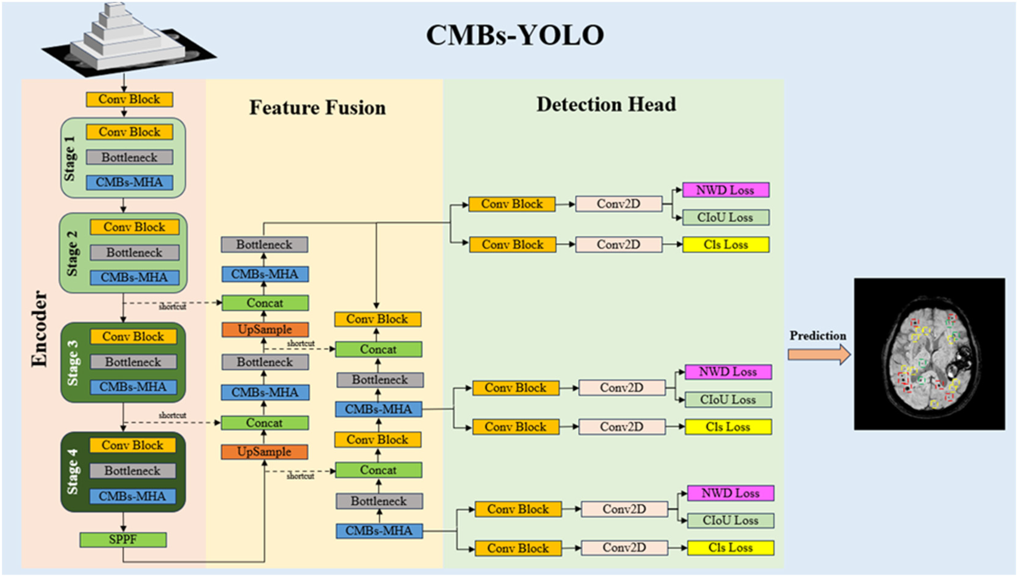 Bioengineering 11 00993 g002