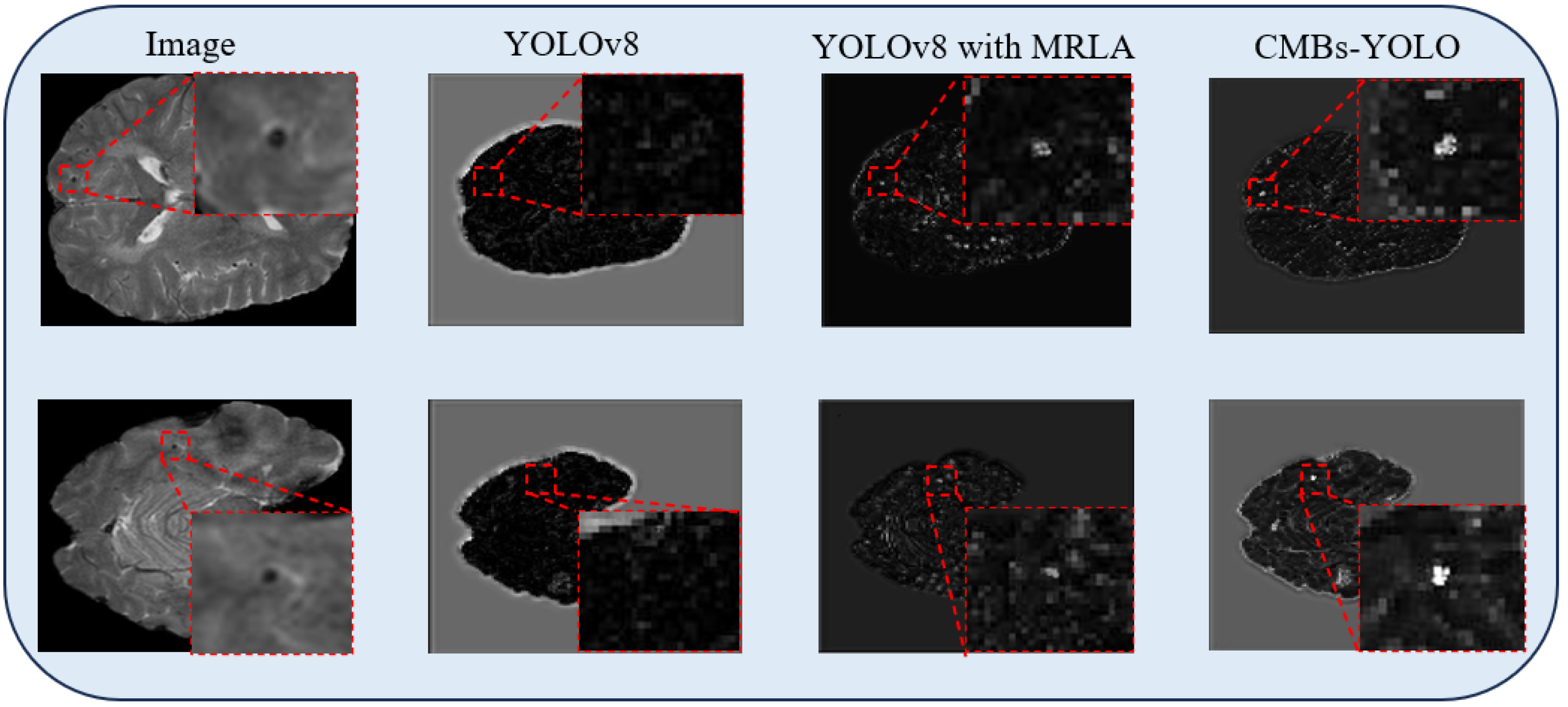 Bioengineering 11 00993 g003