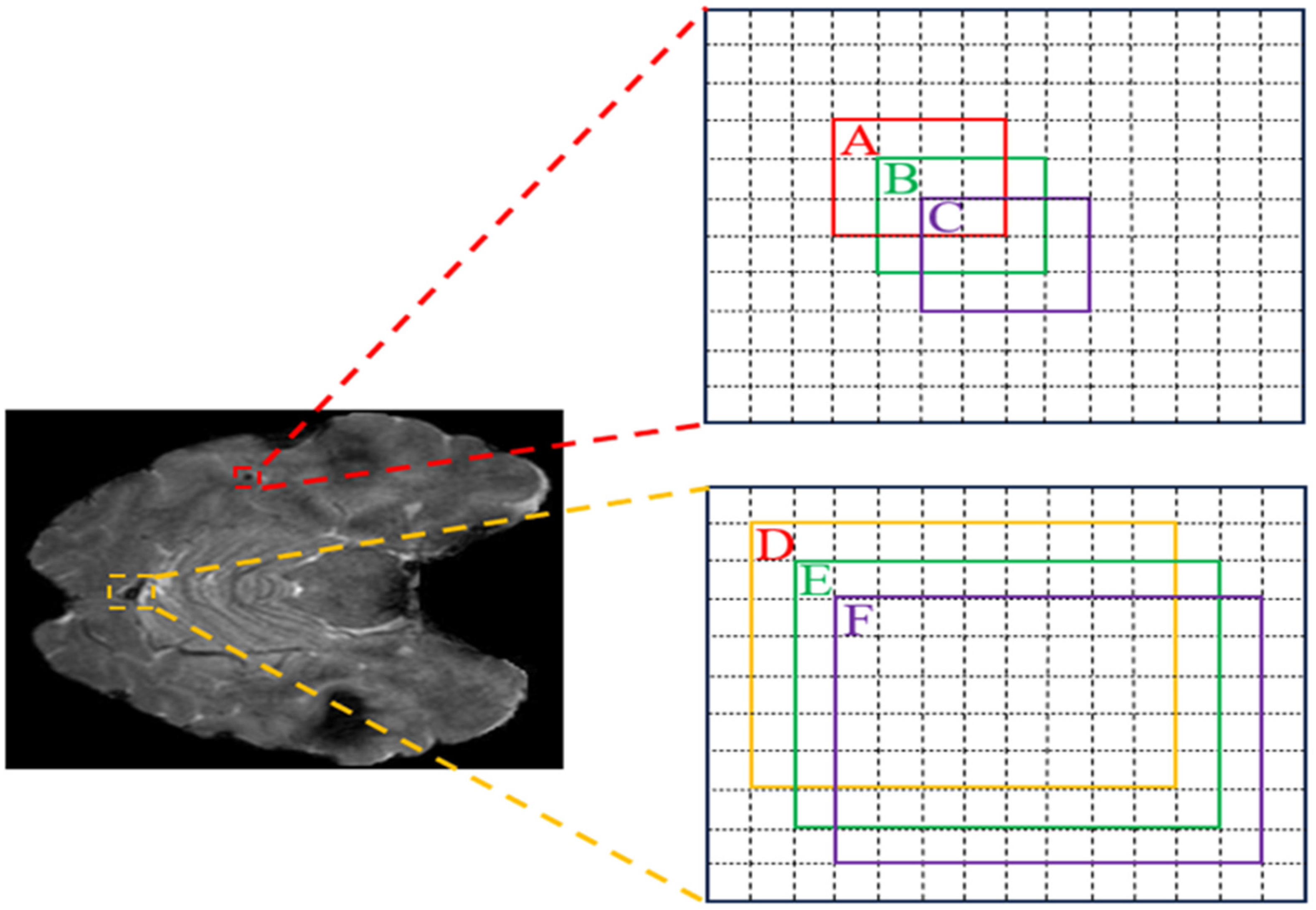 Bioengineering 11 00993 g005