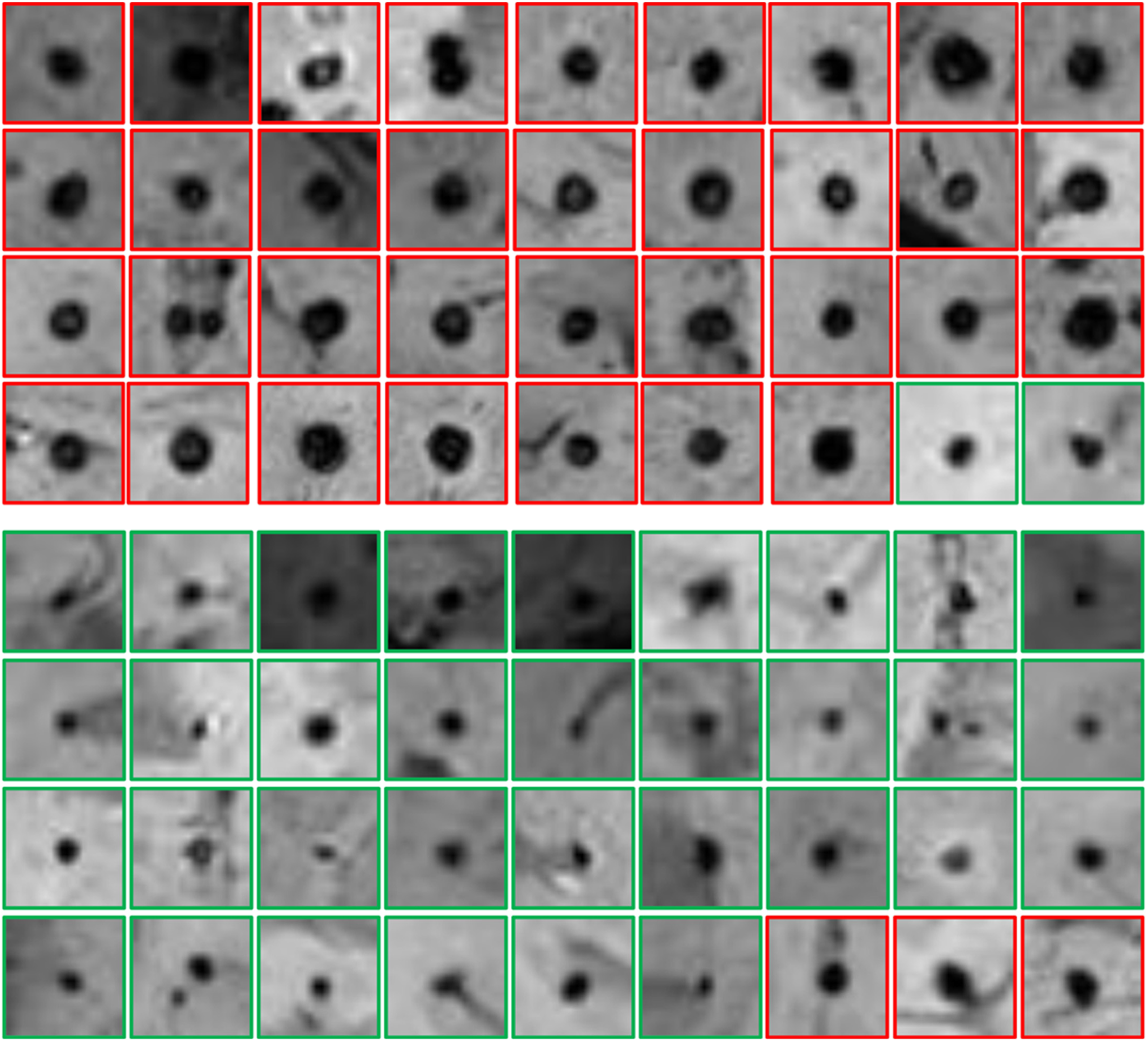 Bioengineering 11 00993 g0a2