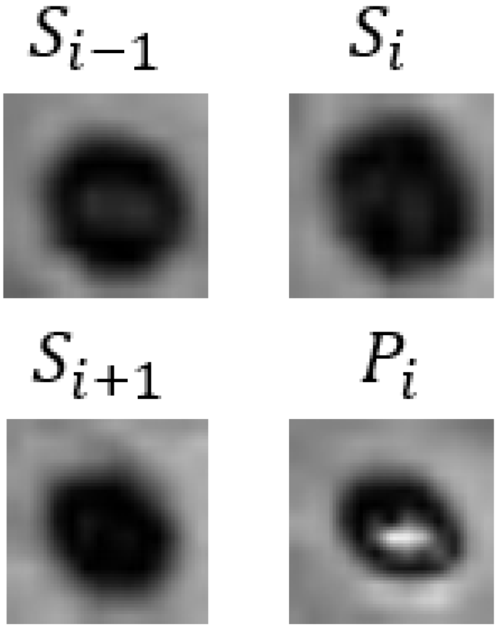 Bioengineering 11 00993 i003