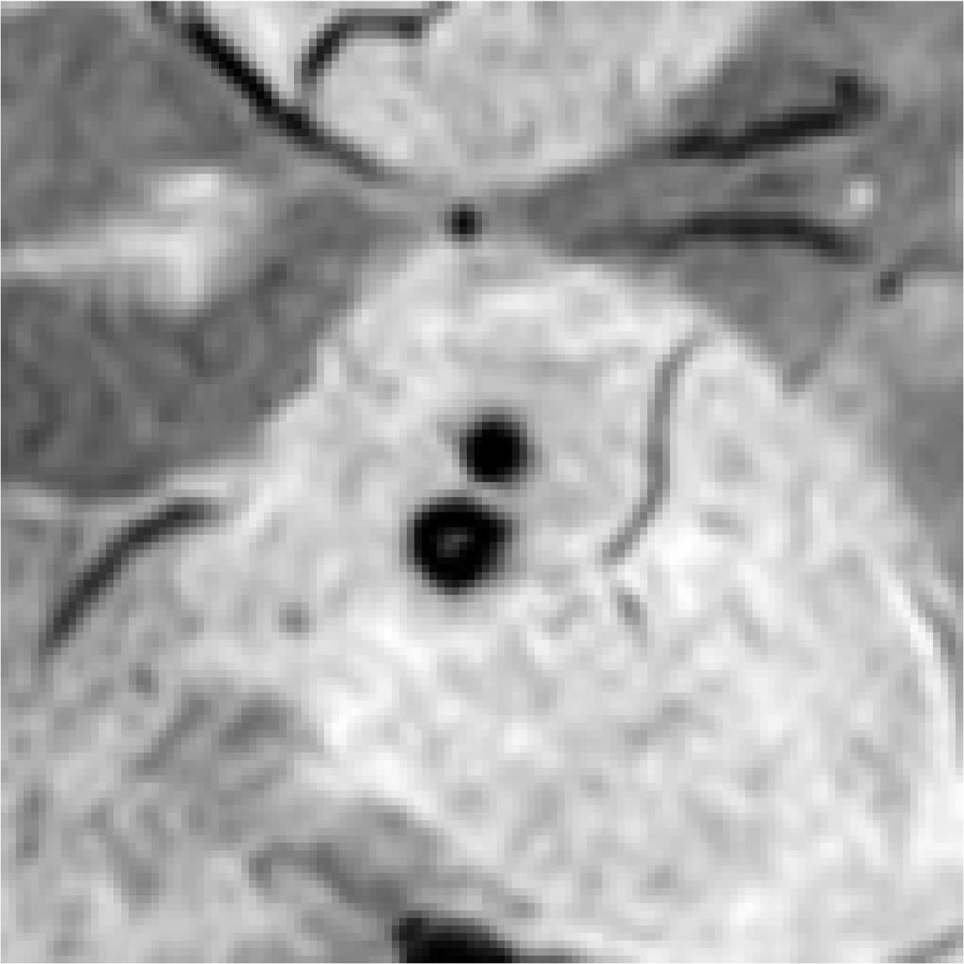 Bioengineering 11 00993 i007