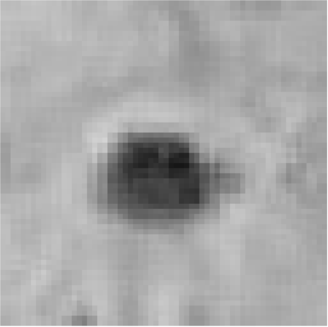 Bioengineering 11 00993 i012