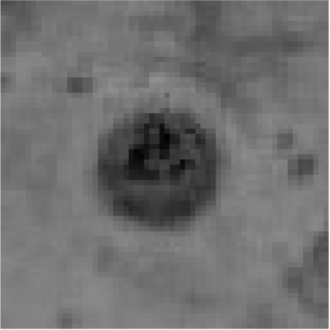 Bioengineering 11 00993 i014