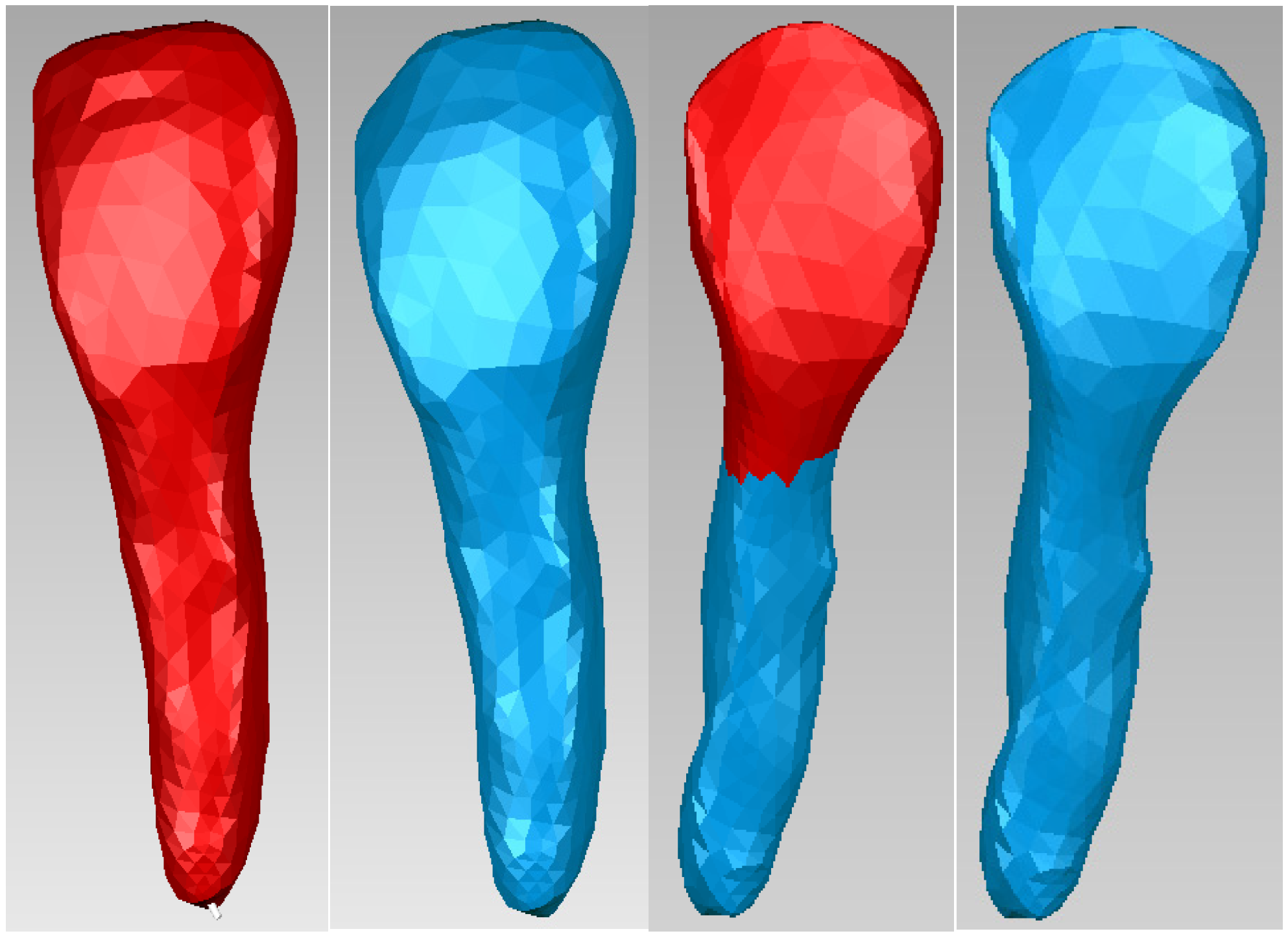 Bioengineering 11 01002 g012