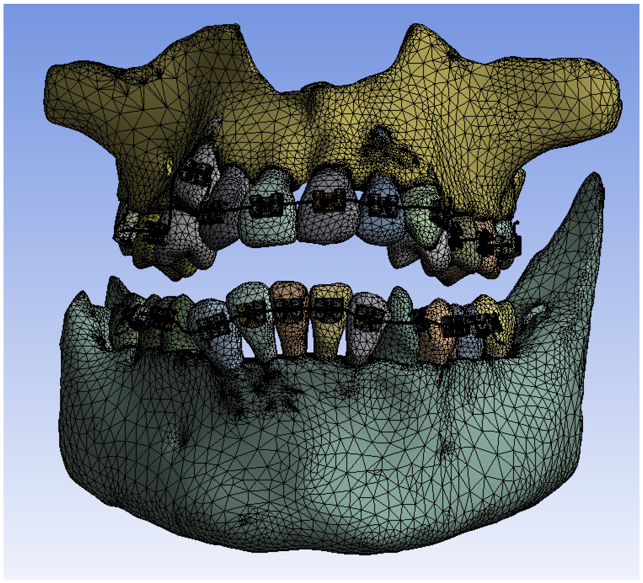 Bioengineering 11 01002 g020