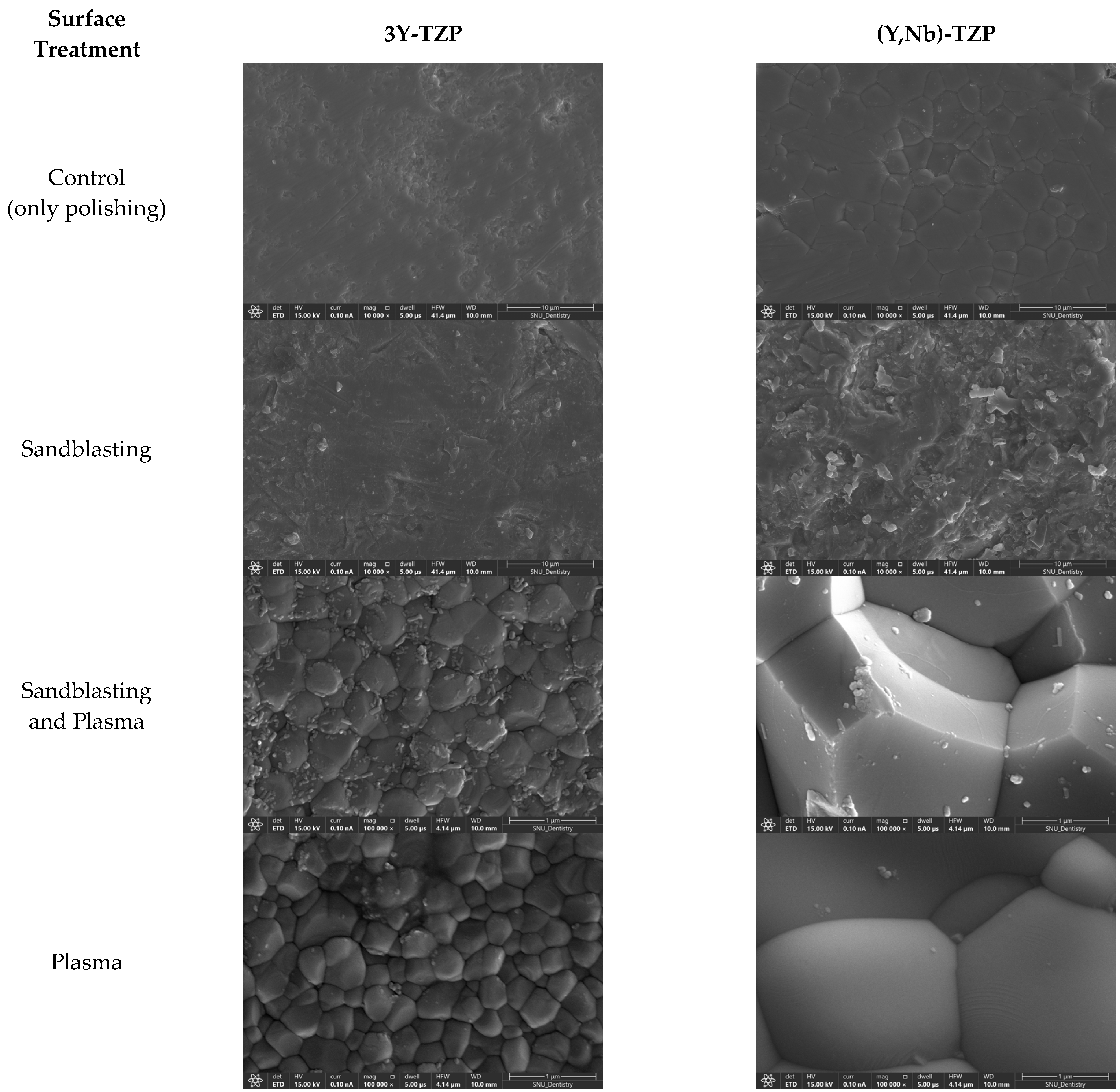 Bioengineering 11 01003 g008
