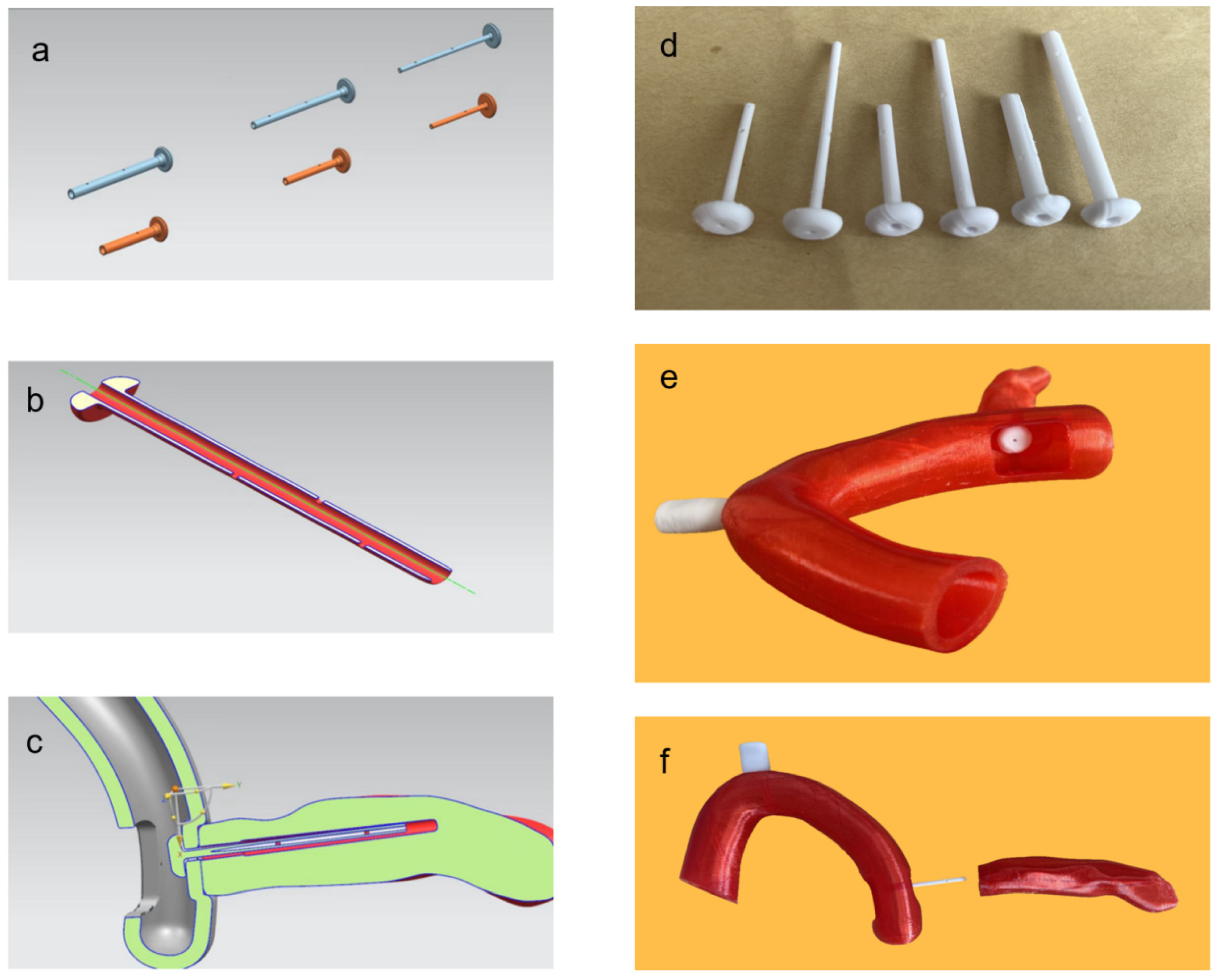 Bioengineering 11 01004 g003