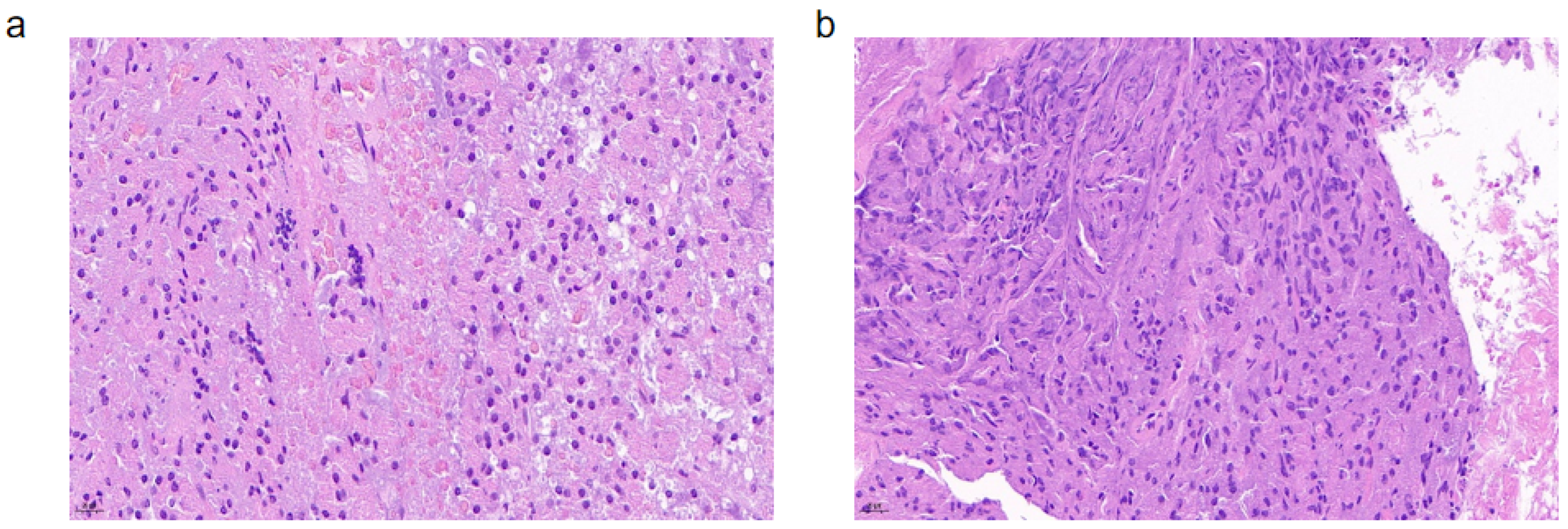 Bioengineering 11 01004 g007