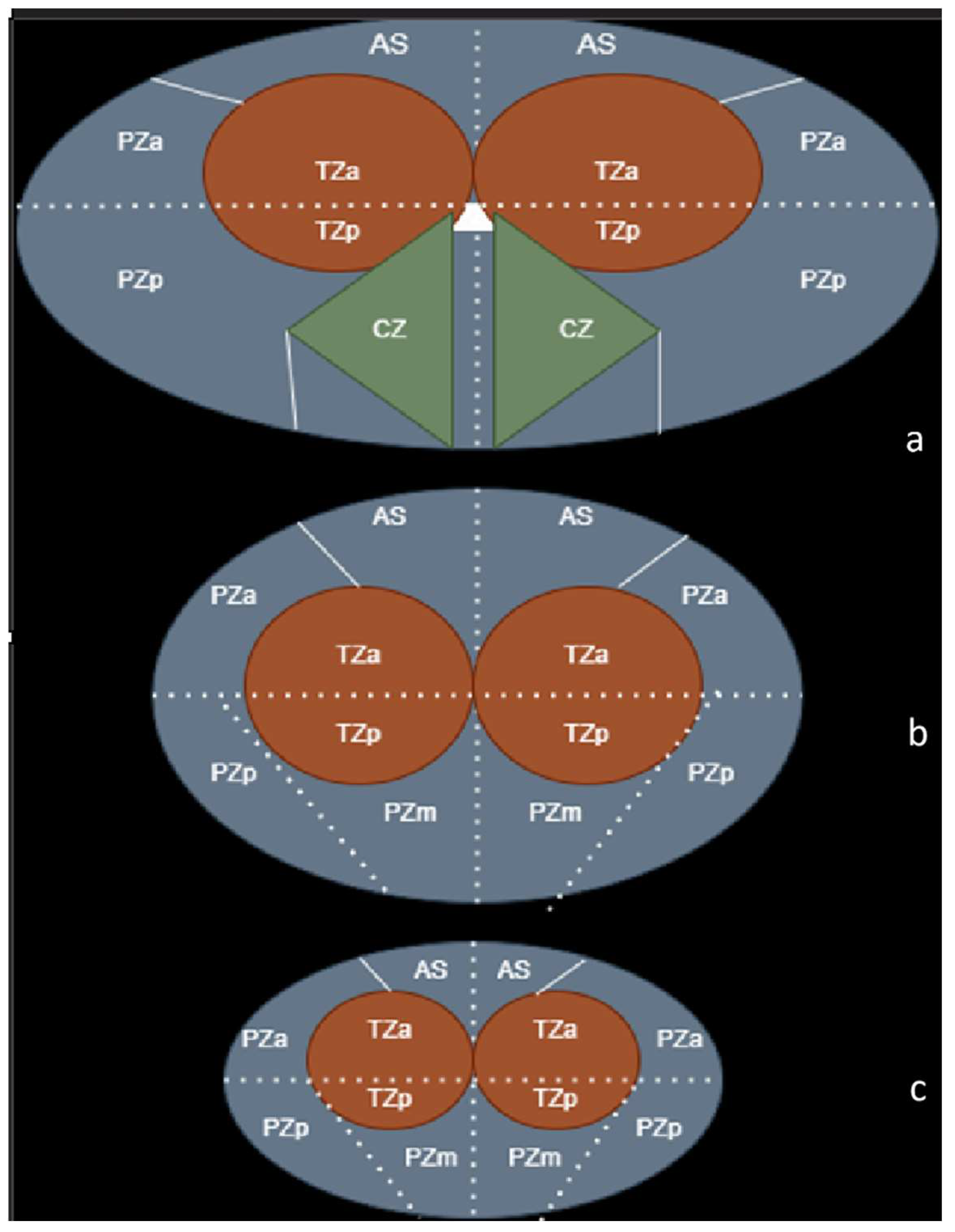 Bioengineering 11 01006 g002
